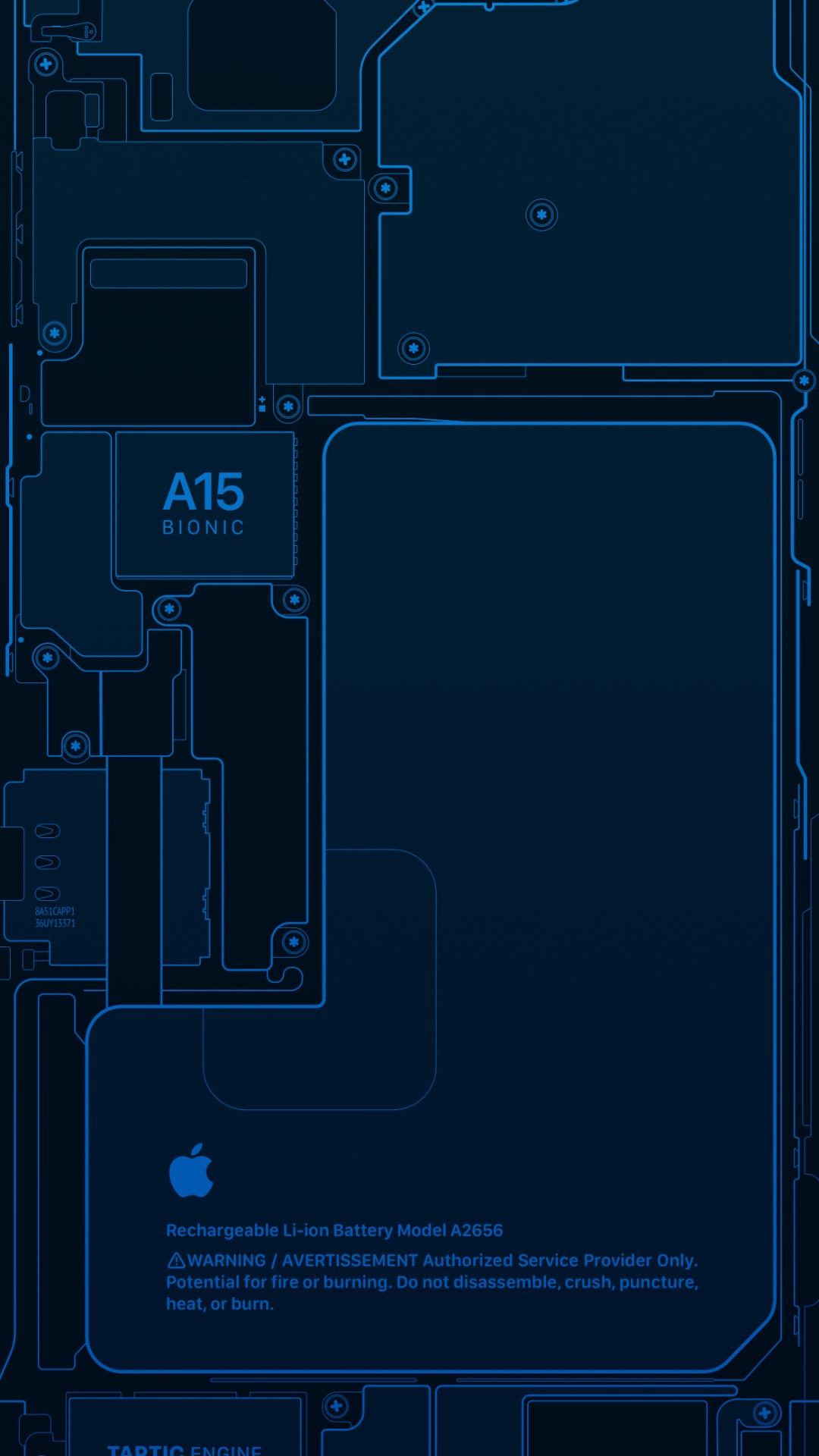 Manzana, Apple, IPhone, un 15 Biónico, Ingeniería. Wallpaper in 1080x1920 Resolution