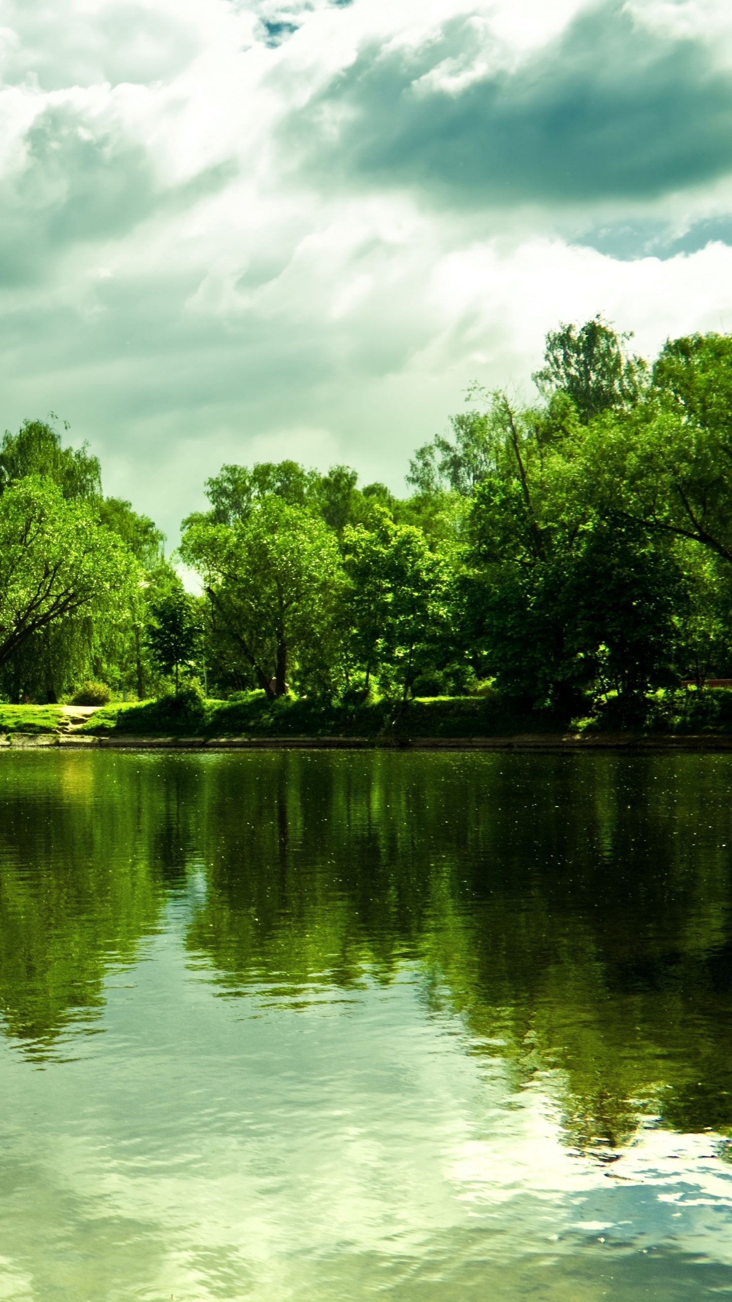 性质, 反射, 绿色的, 银行, 植被 壁纸 1440x2560 允许