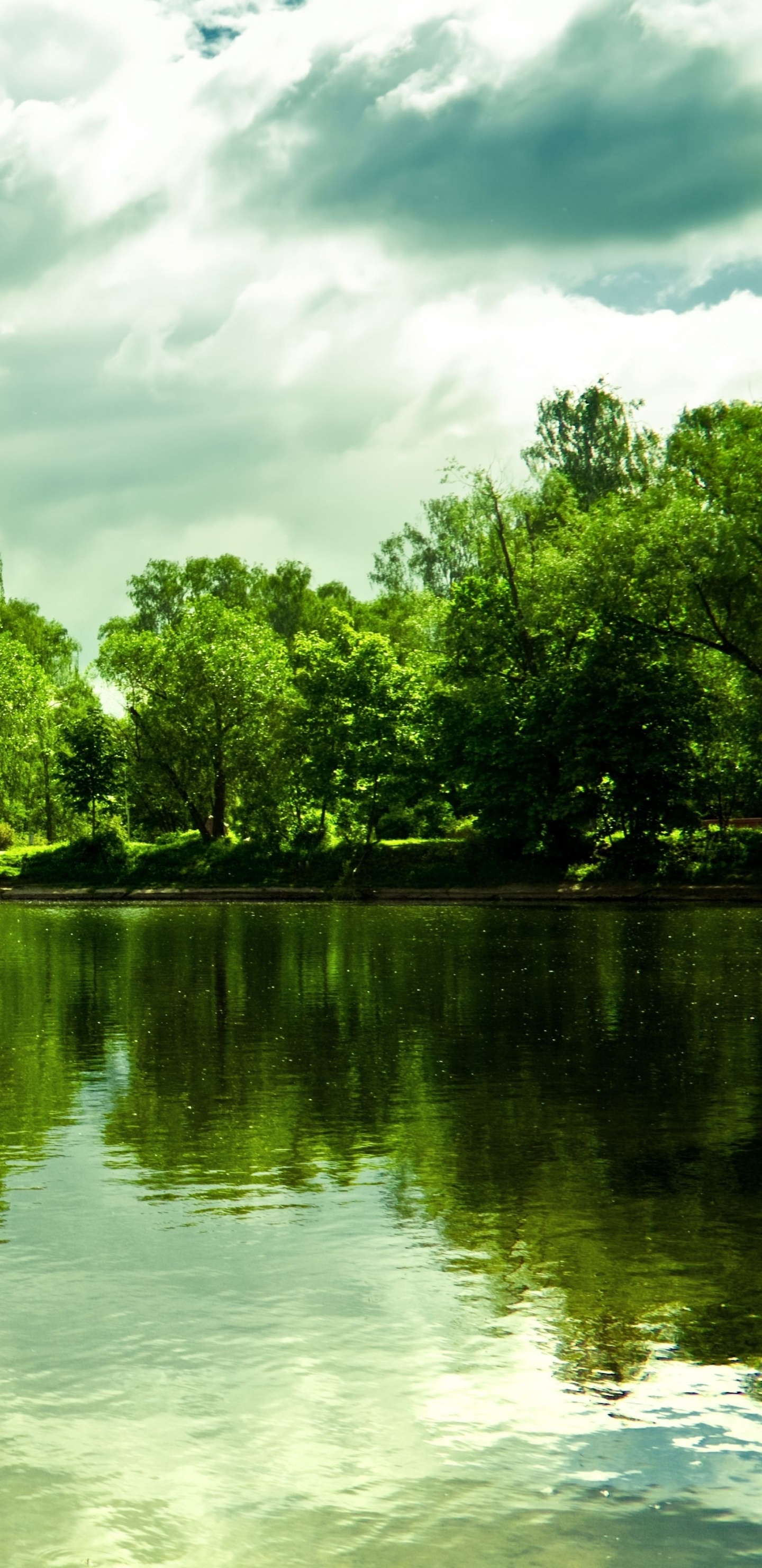 Green Trees Beside River Under Cloudy Sky During Daytime. Wallpaper in 1440x2960 Resolution