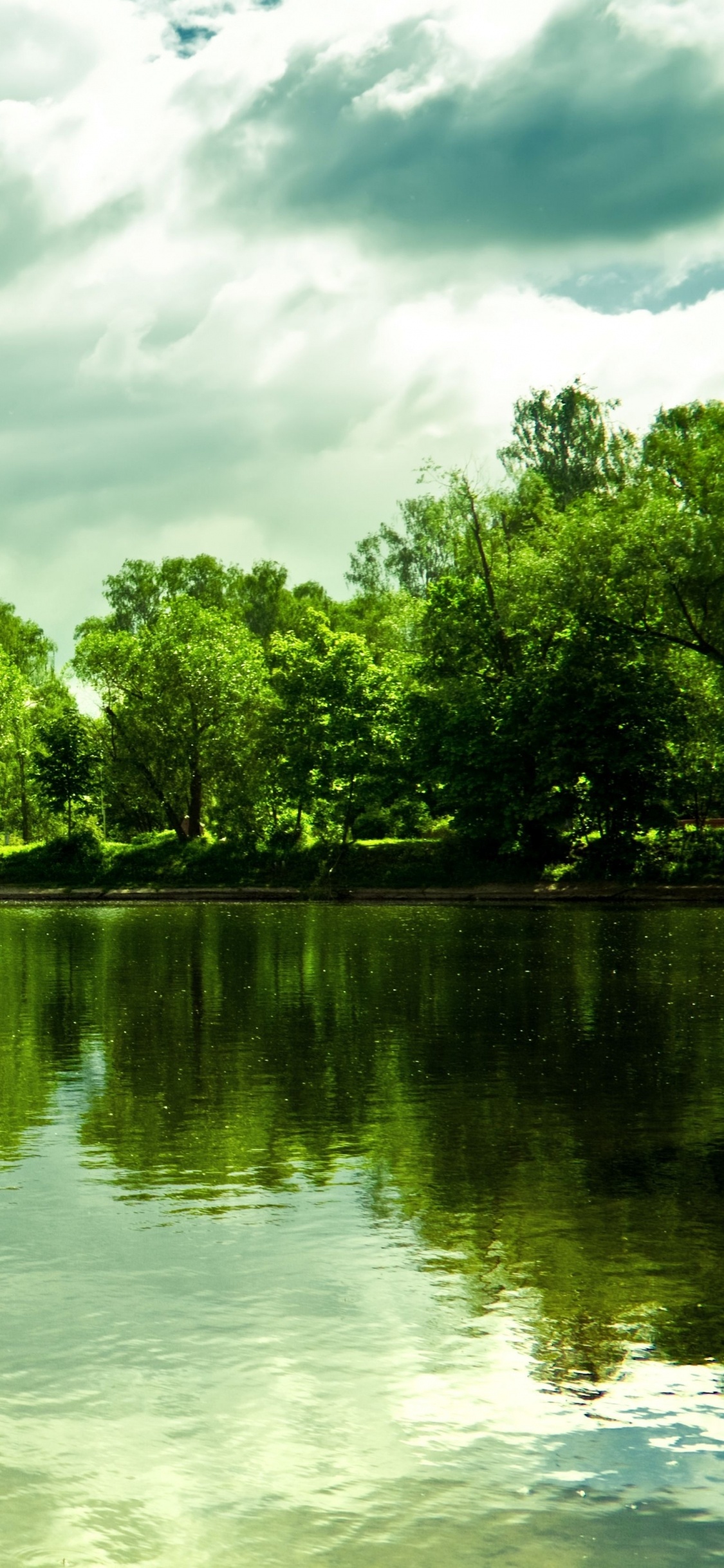 Grüne Bäume Neben Dem Fluss Unter Bewölktem Himmel Tagsüber. Wallpaper in 1125x2436 Resolution