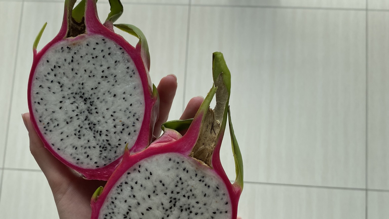 Blumentopf, Zutat, Costa Rican Pitahaya, Pitaya, Zutaten. Wallpaper in 1366x768 Resolution