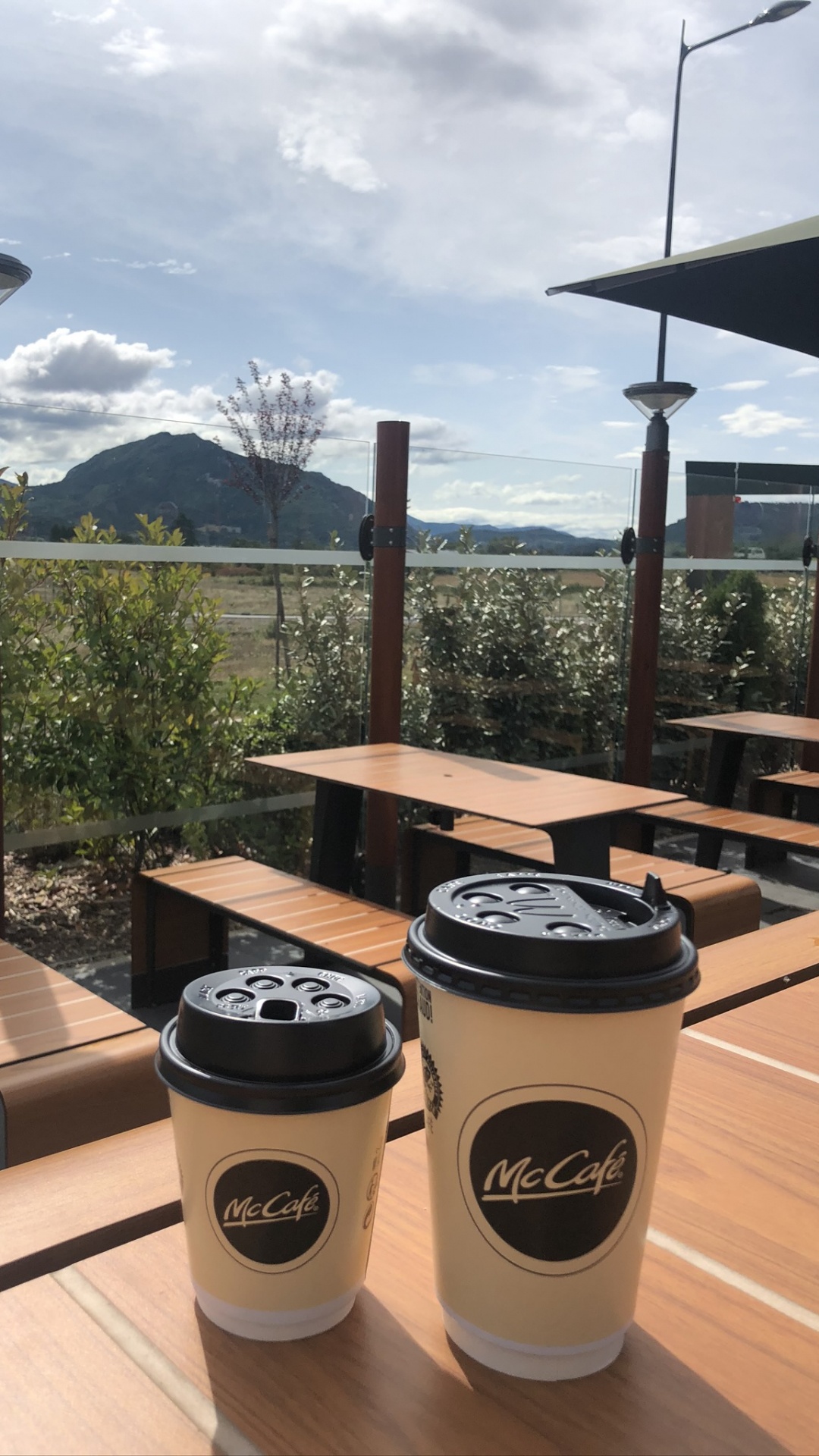 Outdoor-Struktur, Holz, Hartholz, Holz-Fleck, Sperrholz. Wallpaper in 1080x1920 Resolution