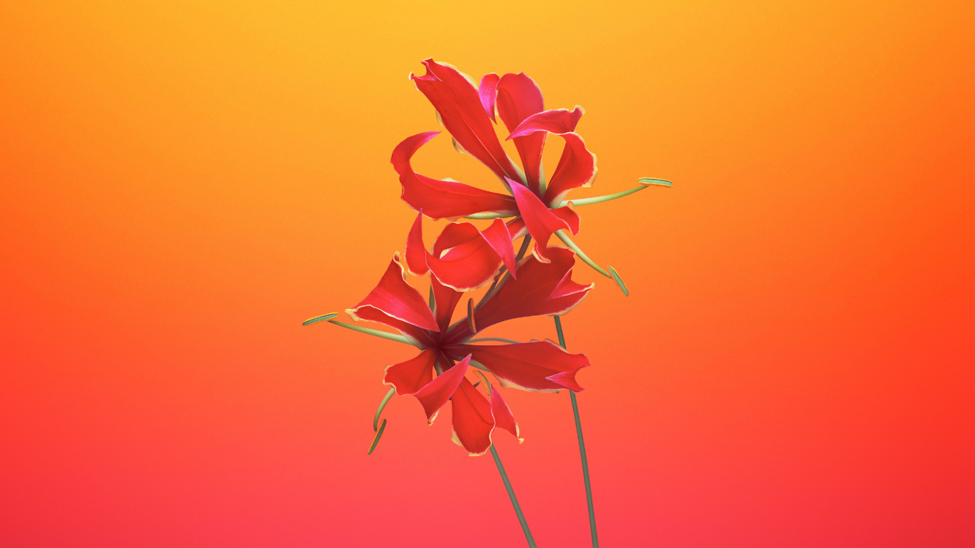 IOS11, Ios, IOS8, 苹果, IOS 14 壁纸 1366x768 允许
