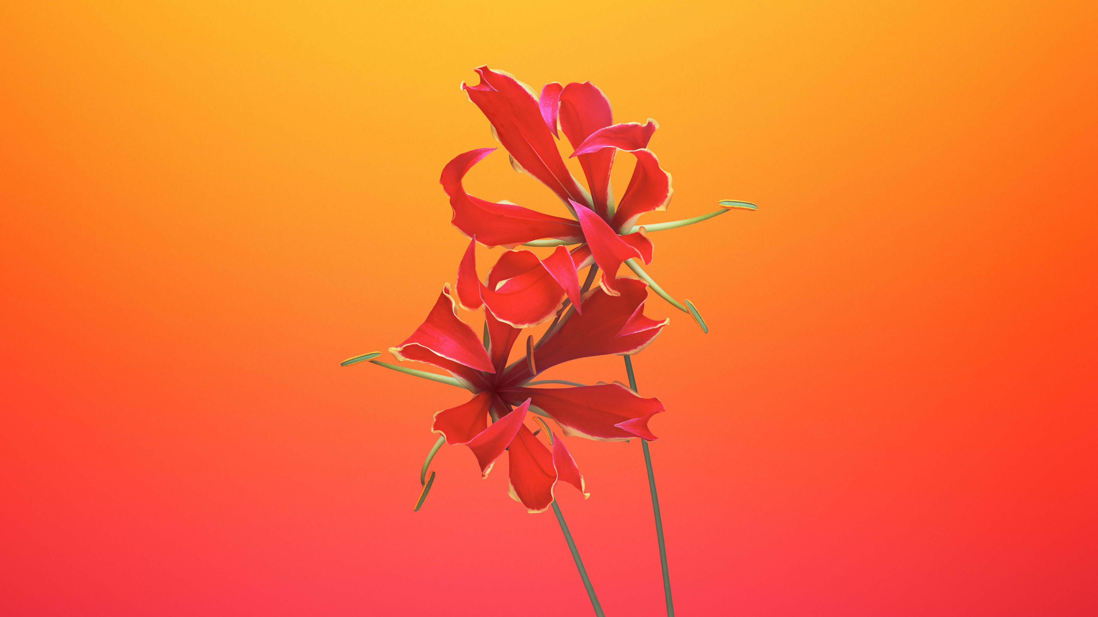 IOS 11, IOS, IOS 8, Apple, IOS 14. Wallpaper in 3840x2160 Resolution