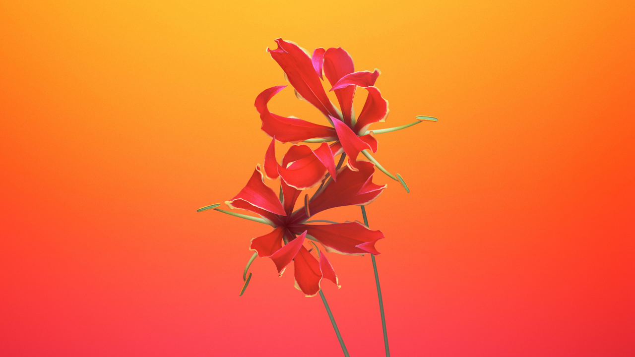 IOS 11, Ios, IOS 8, Apples, IOS 14. Wallpaper in 1280x720 Resolution