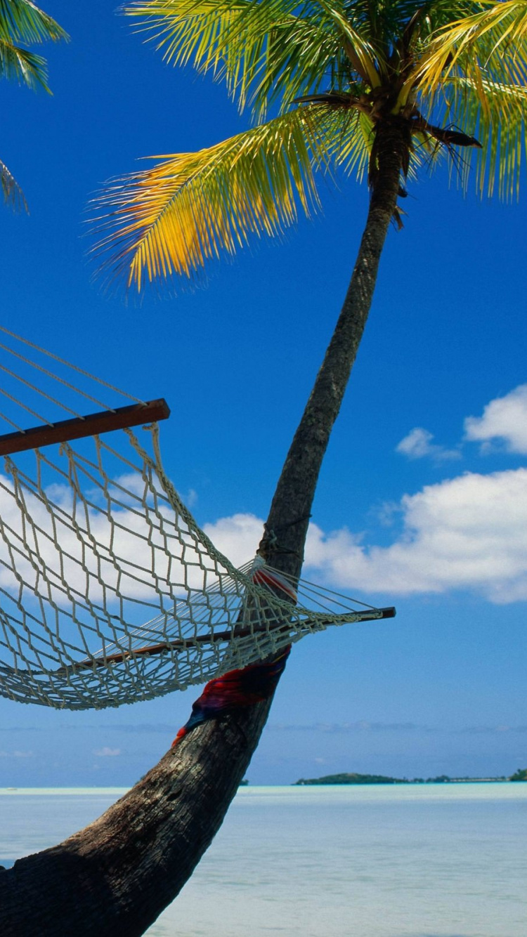Blue Hammock Hanged on Palm Tree Near Beach During Daytime. Wallpaper in 750x1334 Resolution
