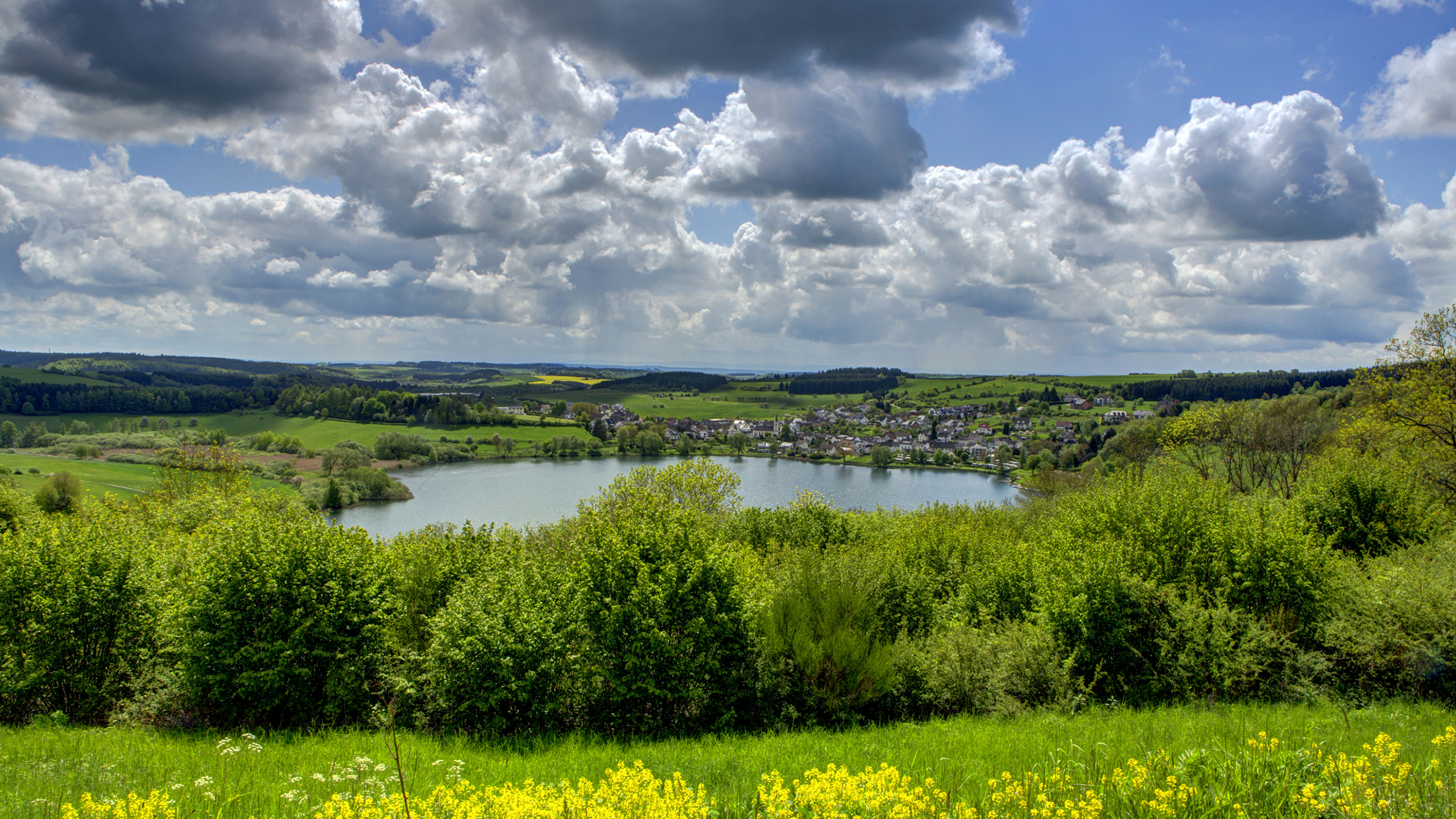 Grüne Wiese in Der Nähe Des Sees Unter Bewölktem Himmel Tagsüber. Wallpaper in 2560x1440 Resolution