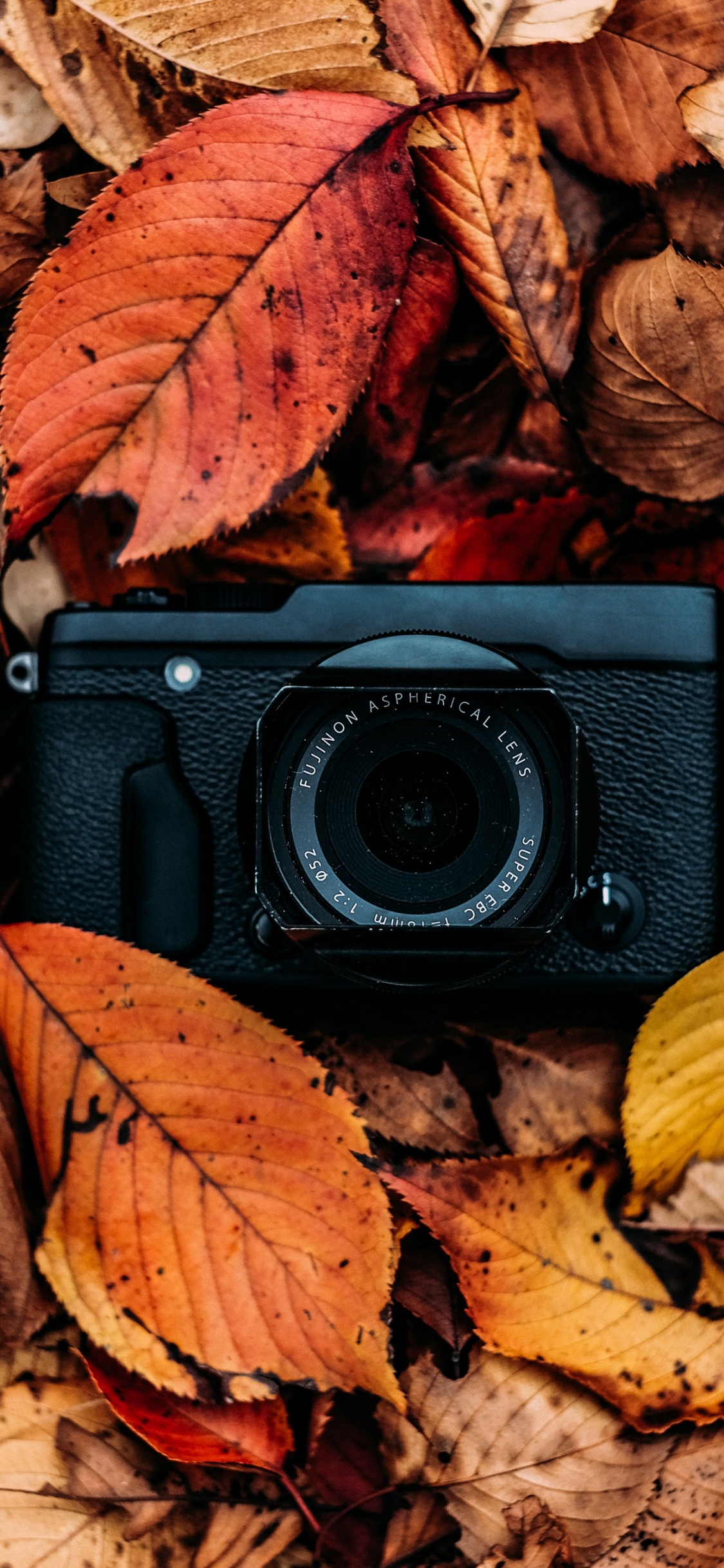 Black Camera on Dried Leaves. Wallpaper in 1125x2436 Resolution