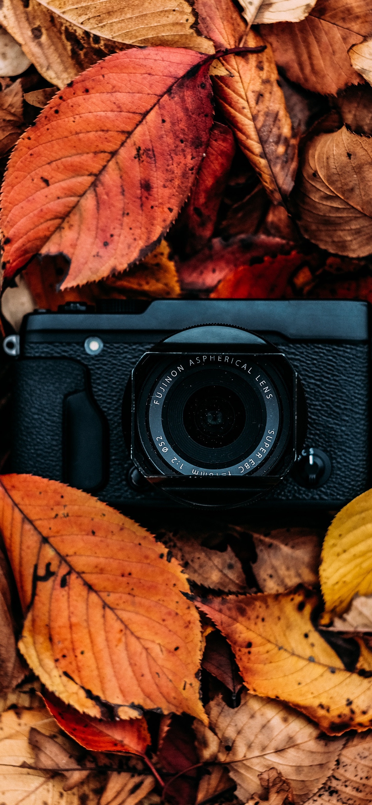 Black Camera on Dried Leaves. Wallpaper in 1242x2688 Resolution