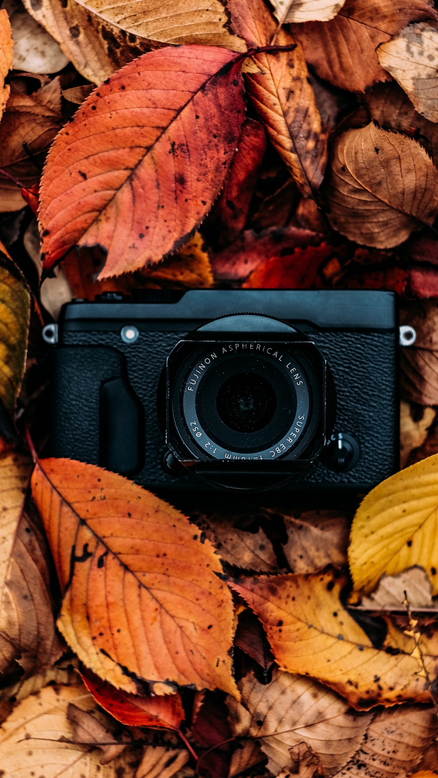 Schwarze Kamera Auf Getrockneten Blättern. Wallpaper in 1440x2560 Resolution