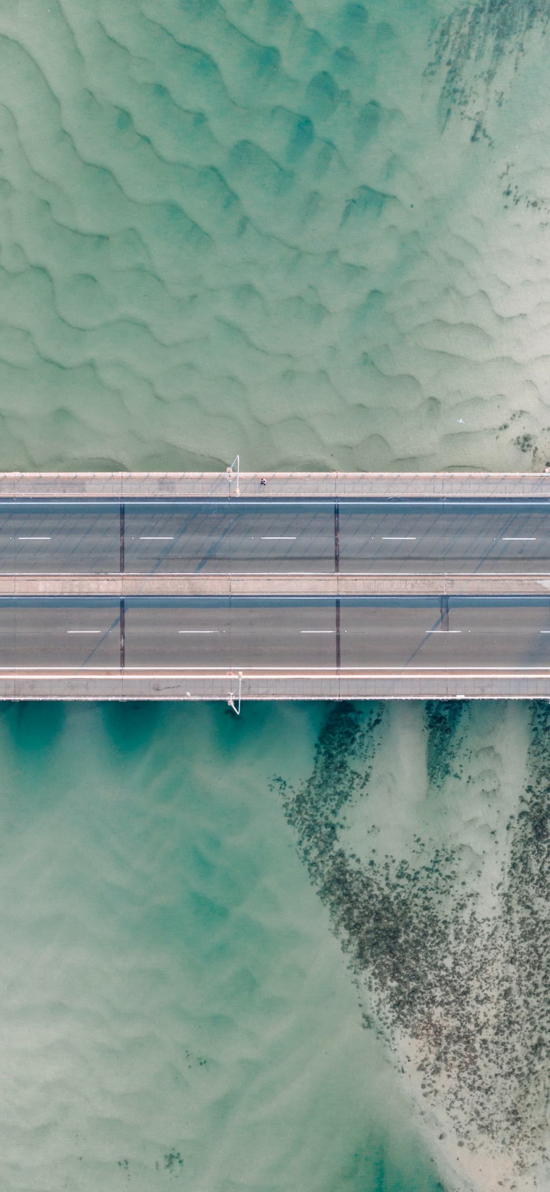 水上, 黑色和白色的, 绿色的, 建筑, Azure 壁纸 1125x2436 允许