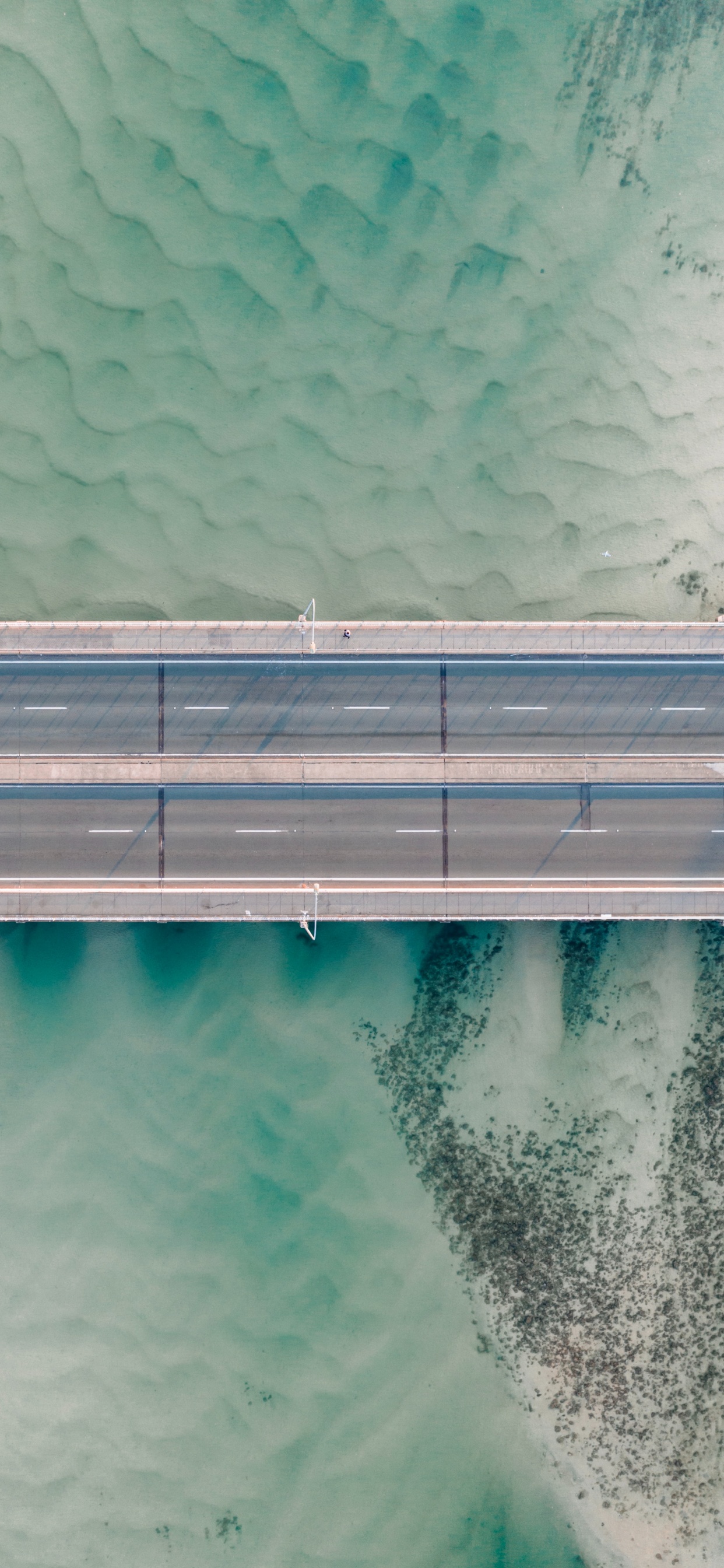 水上, 黑色和白色的, 绿色的, 建筑, Azure 壁纸 1242x2688 允许