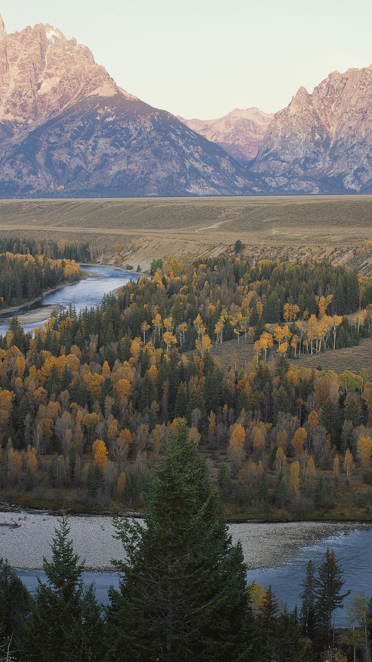 Green Trees Near Lake During Daytime. Wallpaper in 750x1334 Resolution