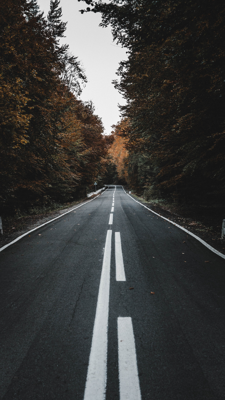 Road, Schwarz, Asphalt, Baum, Fahrbahn. Wallpaper in 750x1334 Resolution