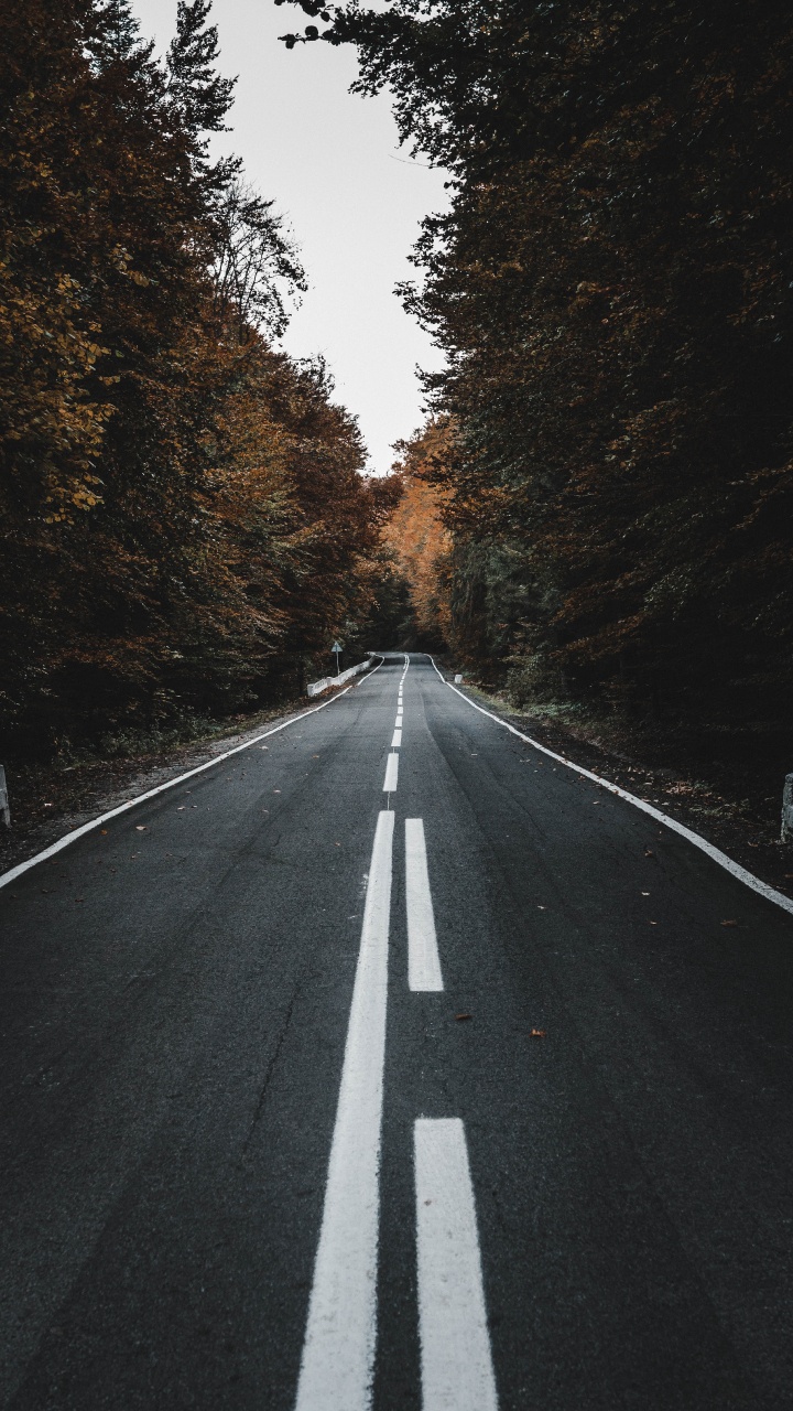 Road, Black, Asphalt, Lane, Tree. Wallpaper in 720x1280 Resolution