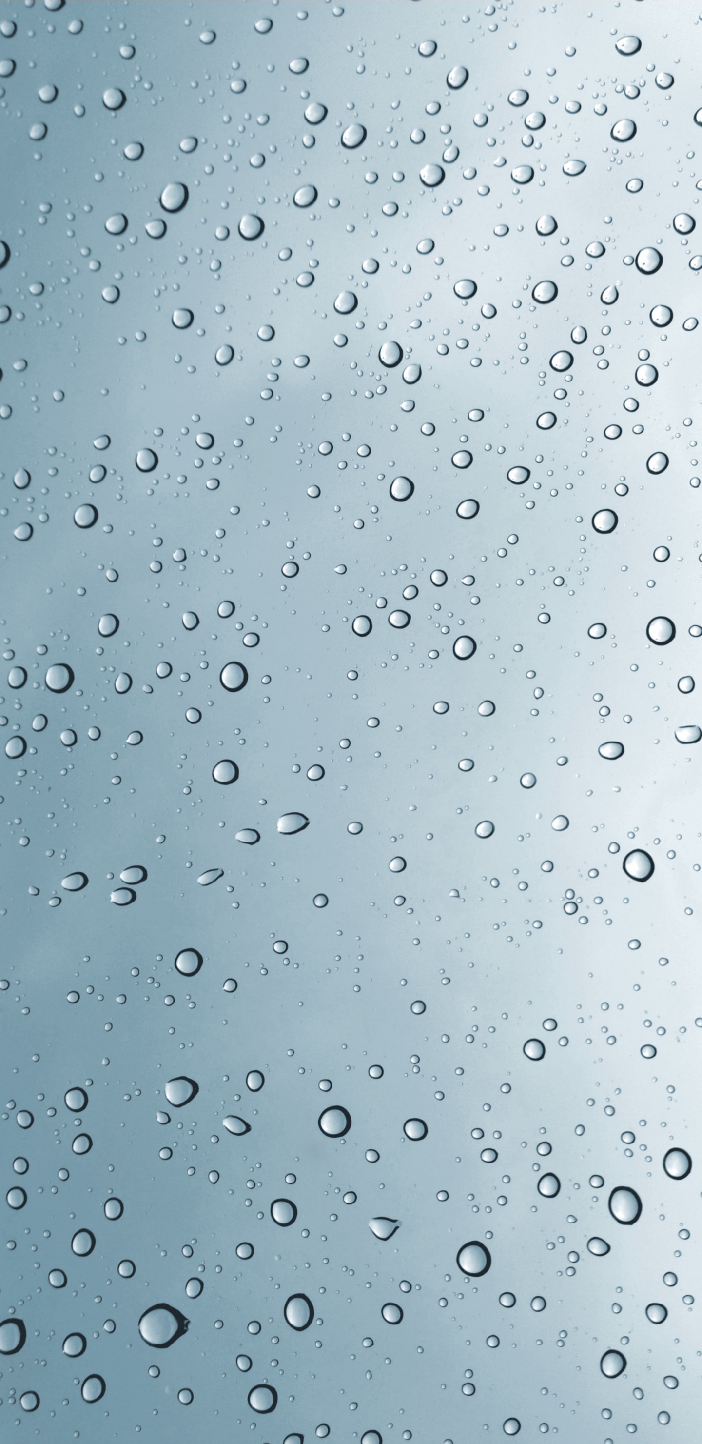 Wassertropfen Auf Glasscheibe. Wallpaper in 1440x2960 Resolution