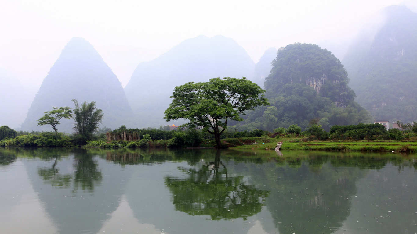Green Trees on Green Grass Field Near Lake During Daytime. Wallpaper in 1366x768 Resolution