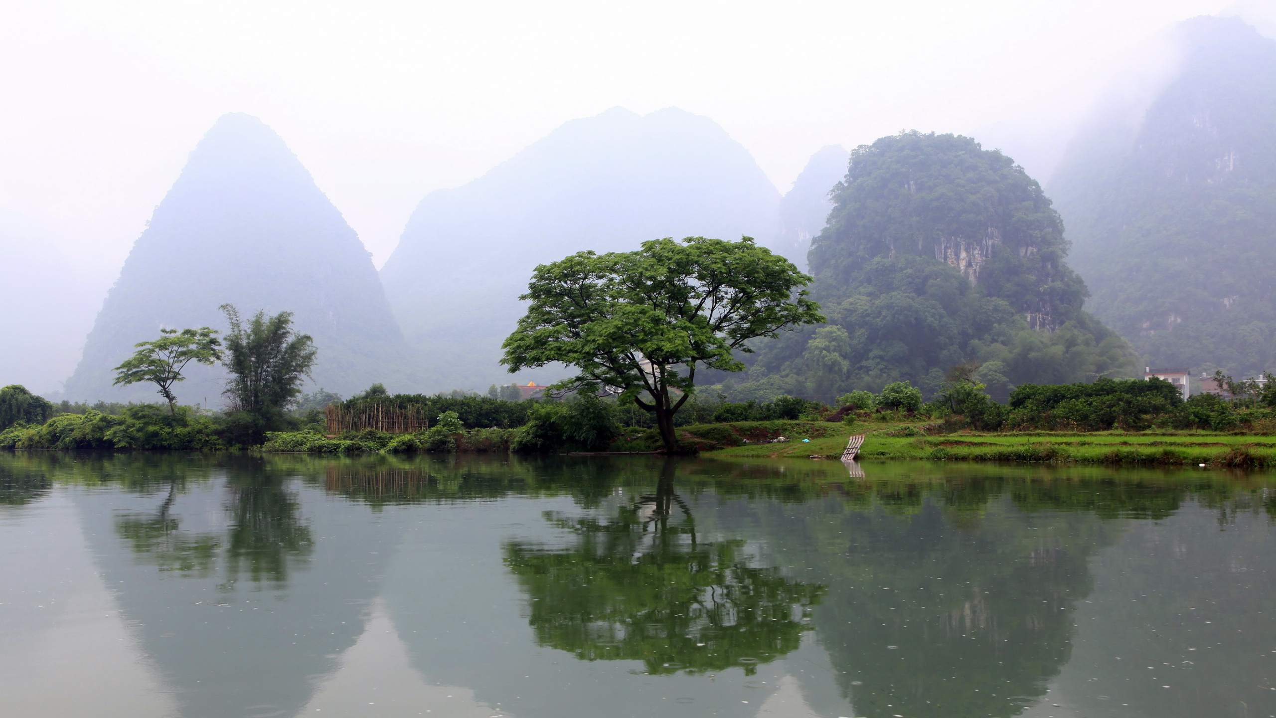 Green Trees on Green Grass Field Near Lake During Daytime. Wallpaper in 2560x1440 Resolution