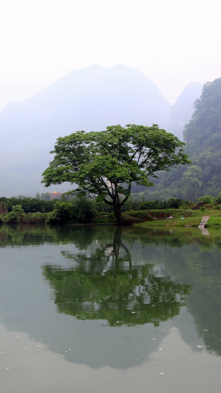 Green Trees on Green Grass Field Near Lake During Daytime. Wallpaper in 720x1280 Resolution