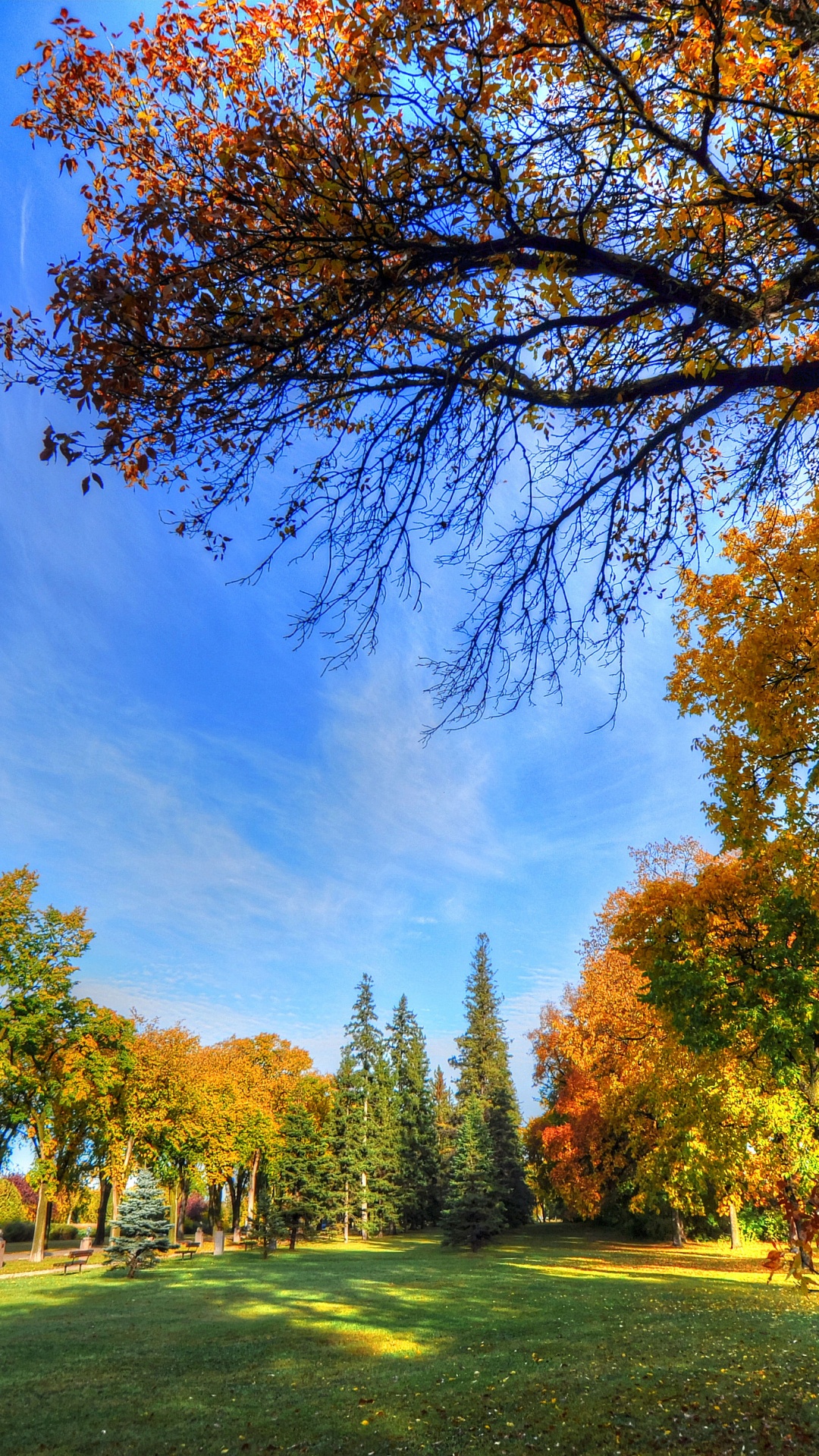 Banc, Parc, Feuille, Les Gens Dans la Nature, Paysage Naturel. Wallpaper in 1080x1920 Resolution