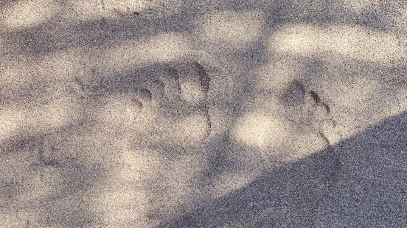 Atmosphäre, Fahrbahn, Holz, KFZ-Reifen, Asphalt. Wallpaper in 1366x768 Resolution