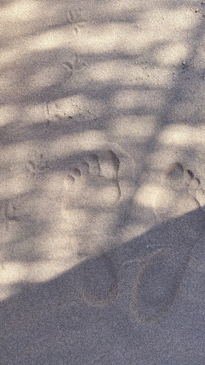 Atmosphäre, Fahrbahn, Holz, KFZ-Reifen, Asphalt. Wallpaper in 720x1280 Resolution