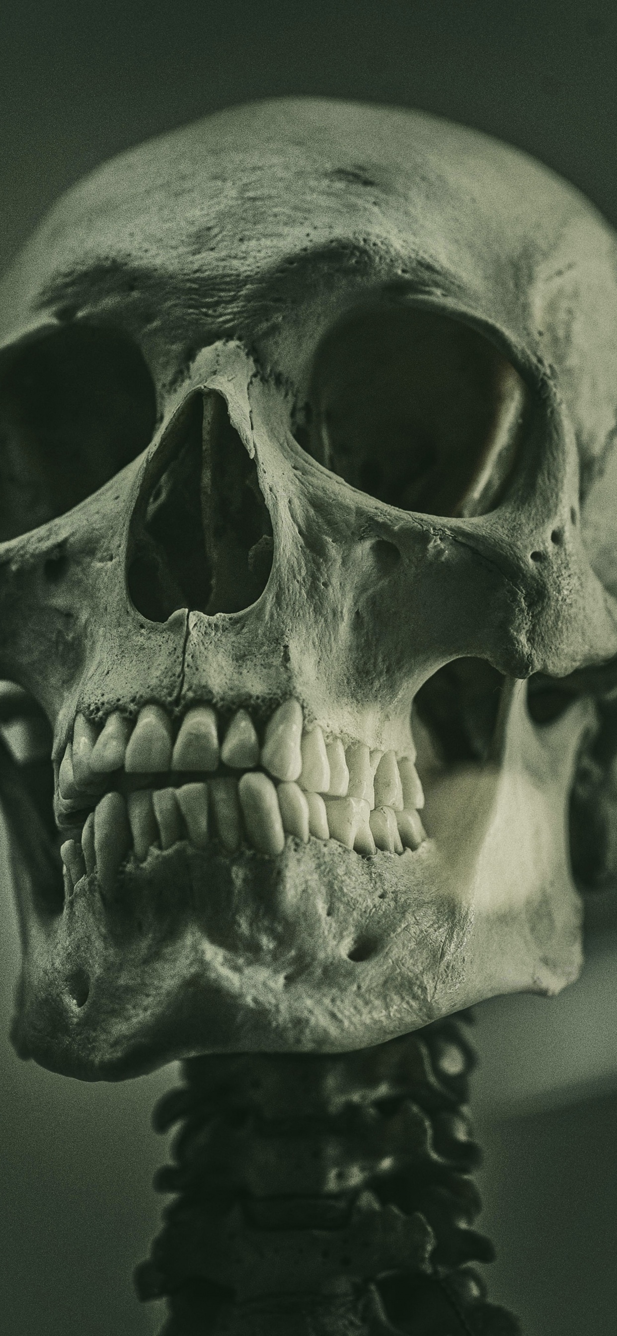 Skeleton, Skeleton Art Reference Painting, Soundcloud, Painting, Art. Wallpaper in 1242x2688 Resolution