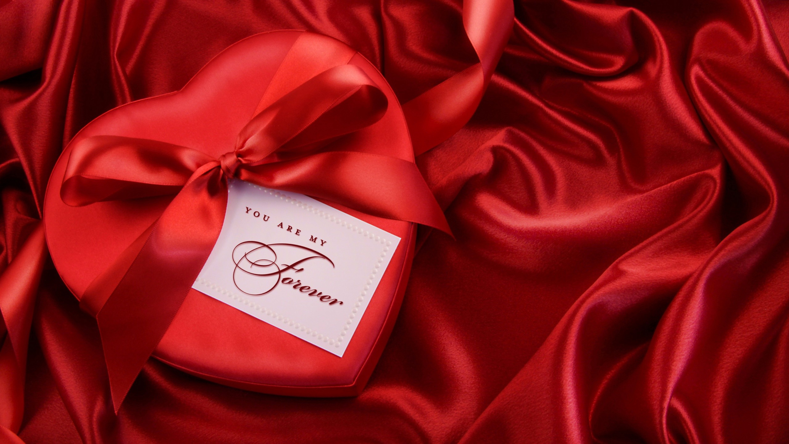 Red, le Jour de Valentines, Romance Film, la Famille Rose, Roses. Wallpaper in 2560x1440 Resolution