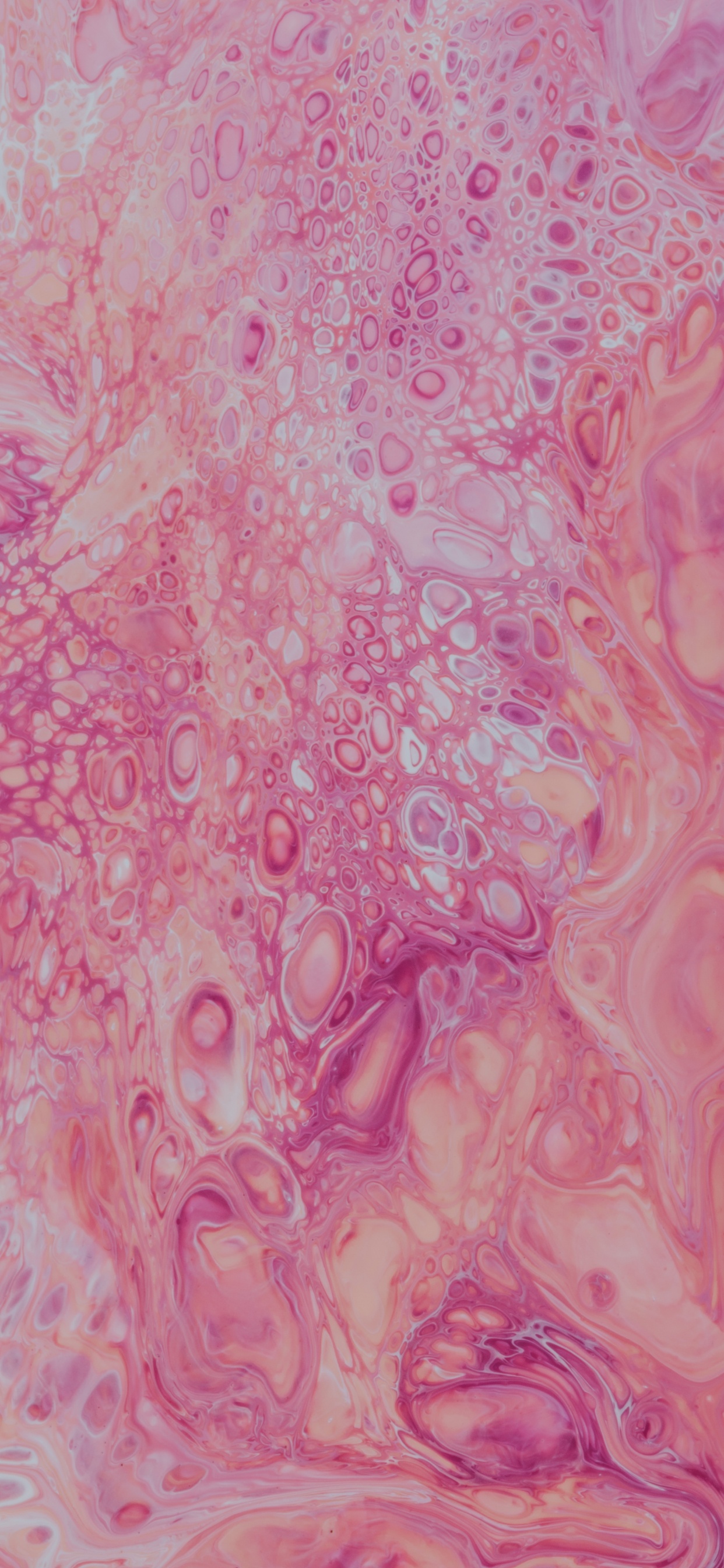 Pink and White Floral Textile. Wallpaper in 1242x2688 Resolution