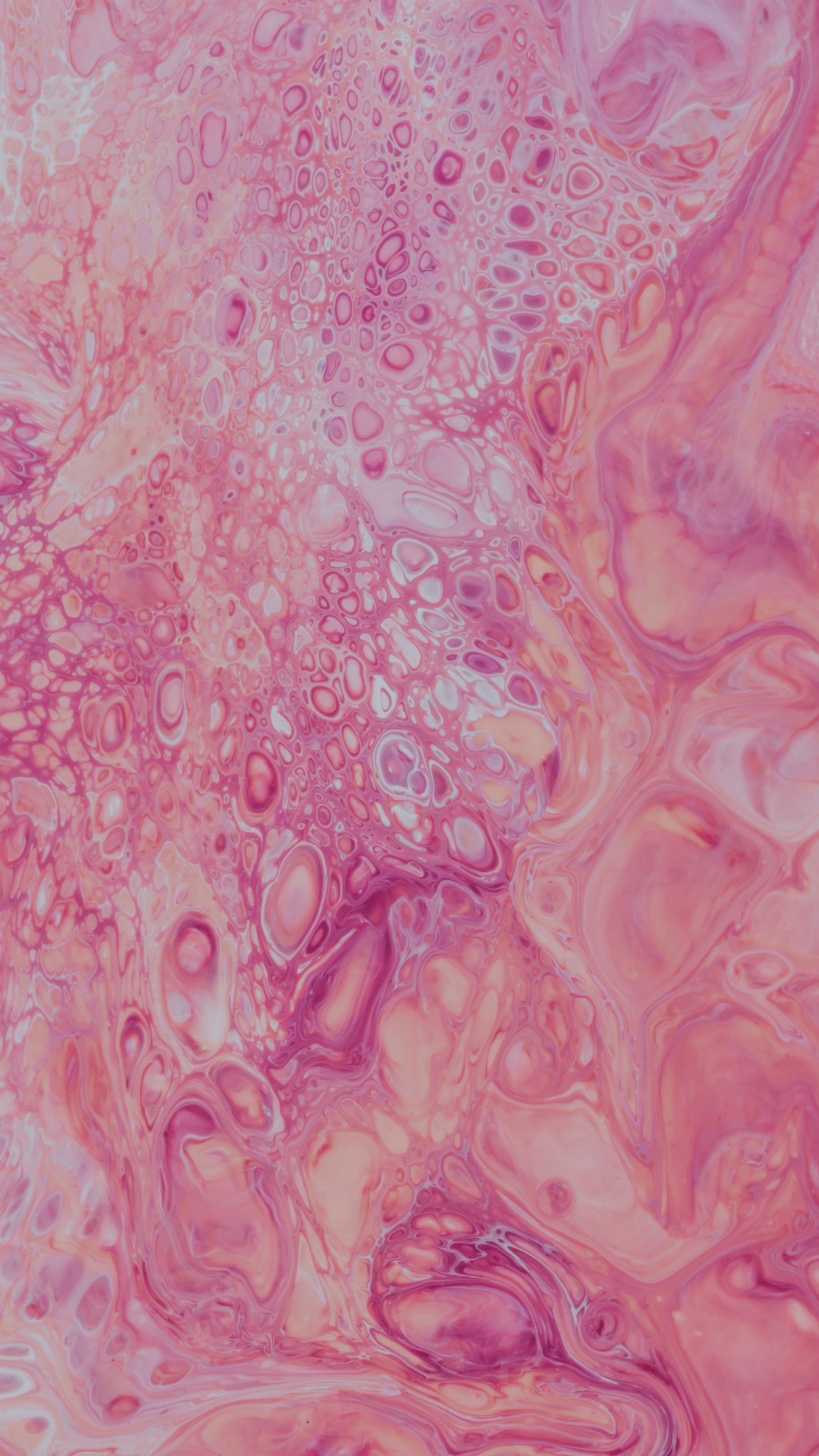 Pink and White Floral Textile. Wallpaper in 1440x2560 Resolution