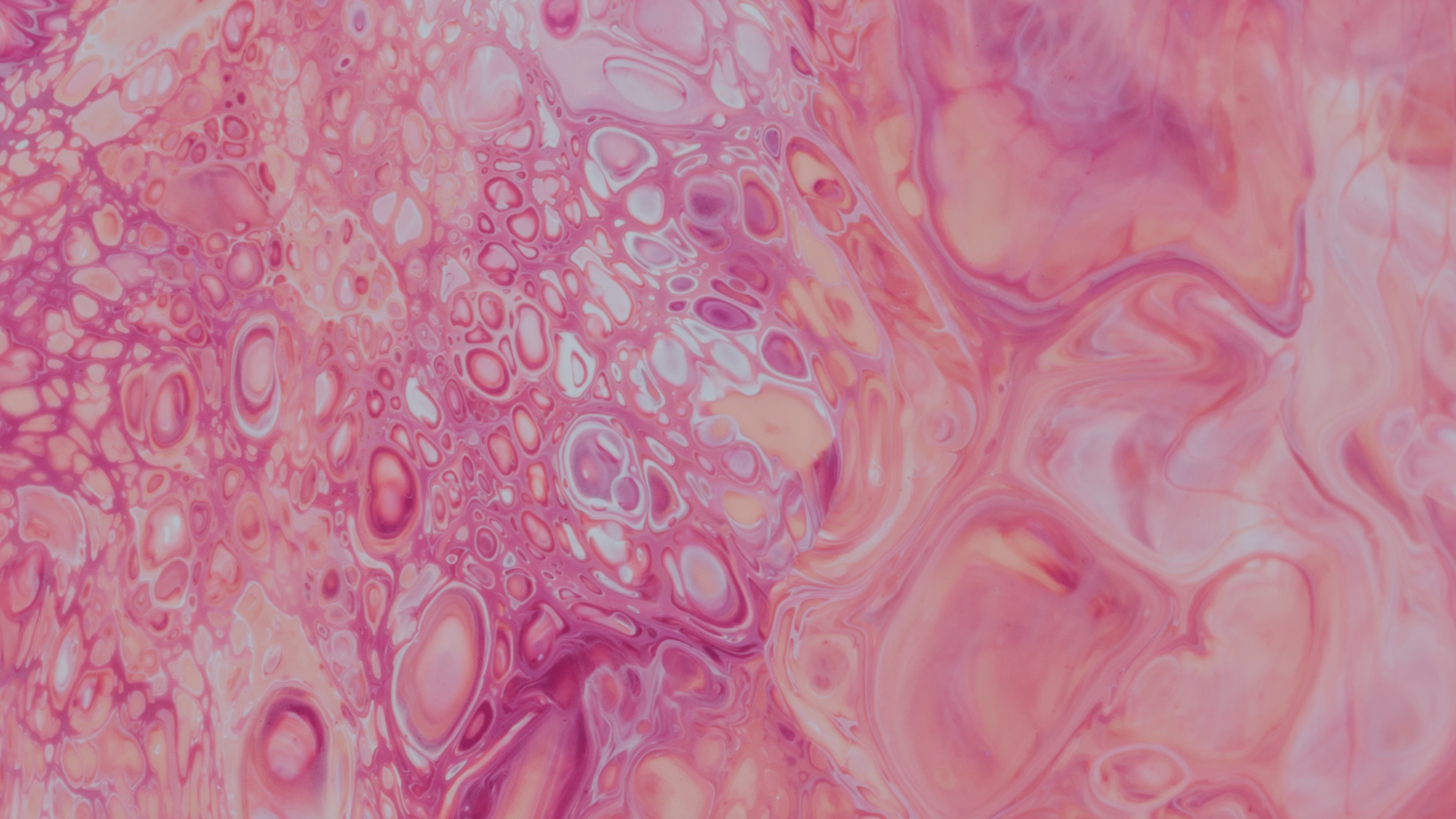 Textil Floral Rosa y Blanco. Wallpaper in 1920x1080 Resolution