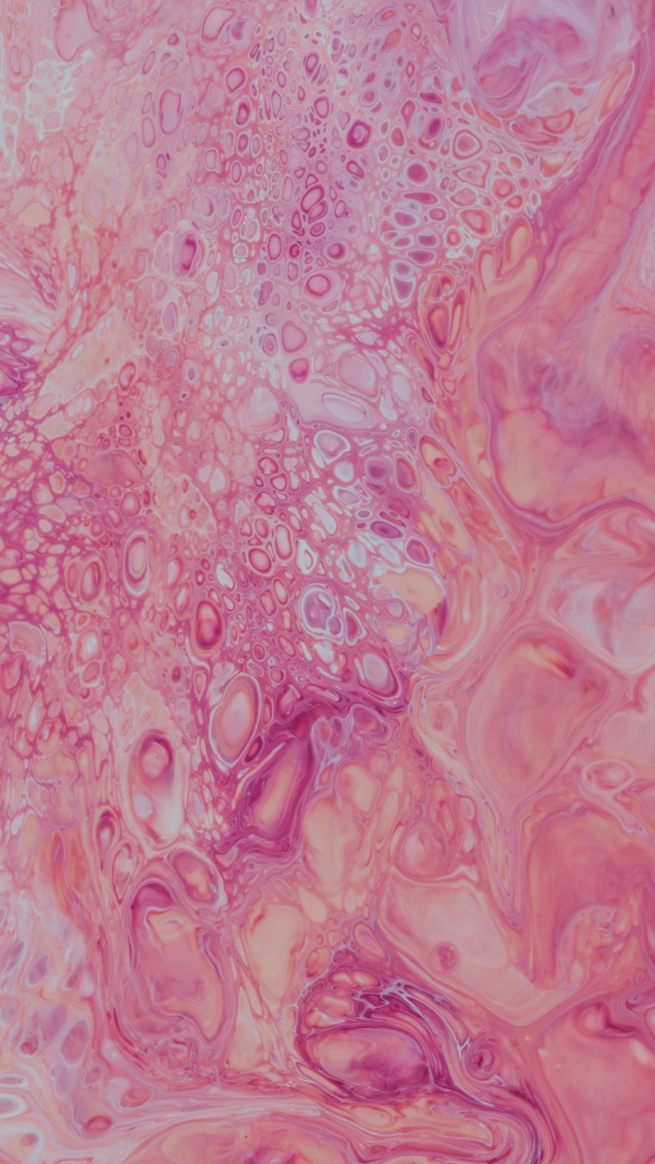 Textile Floral Rose et Blanc. Wallpaper in 720x1280 Resolution