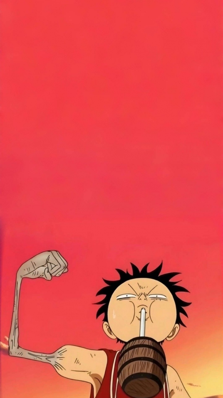 Luffy, Cocodrilo Acuático, Cocodrilo, Buggy, Nosotros, Roronoa Zoro. Wallpaper in 720x1280 Resolution