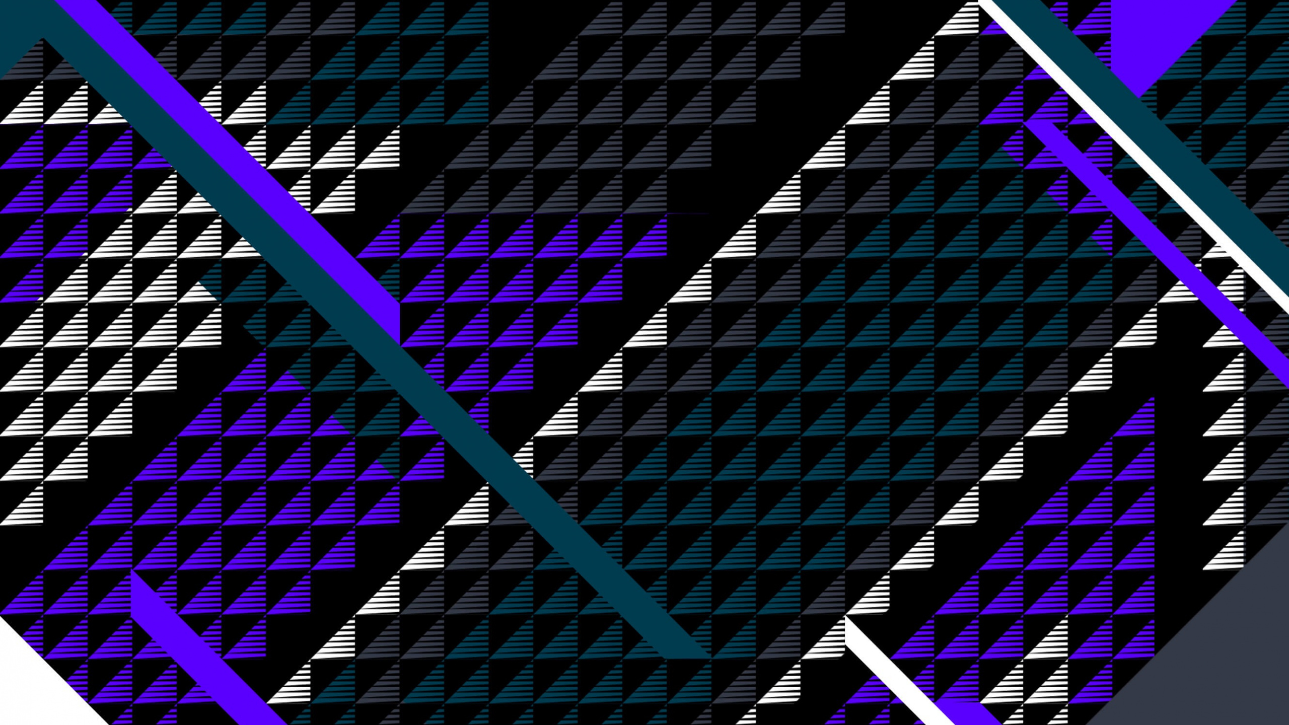 Ilustración de Marco Morado y Negro. Wallpaper in 2560x1440 Resolution