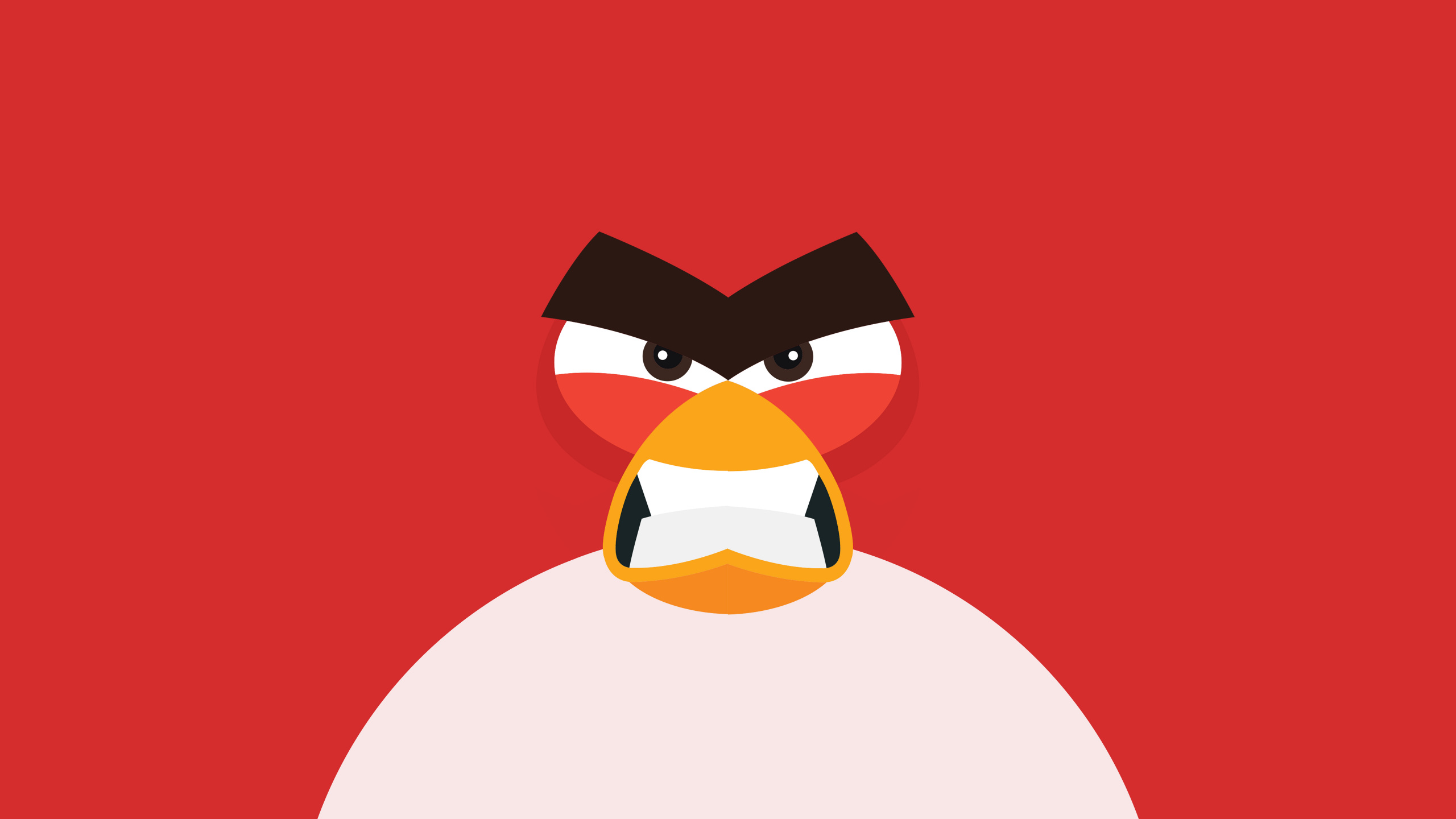 Angry Bird Minimal 8k. Wallpaper in 2560x1440 Resolution