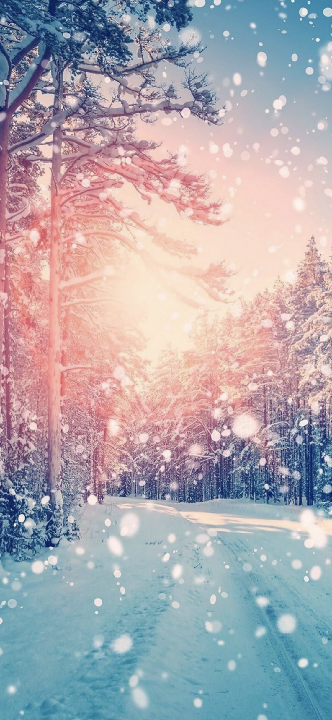 Atmosphère, la Journée, Nature, Paysage Naturel, Neige. Wallpaper in 1125x2436 Resolution