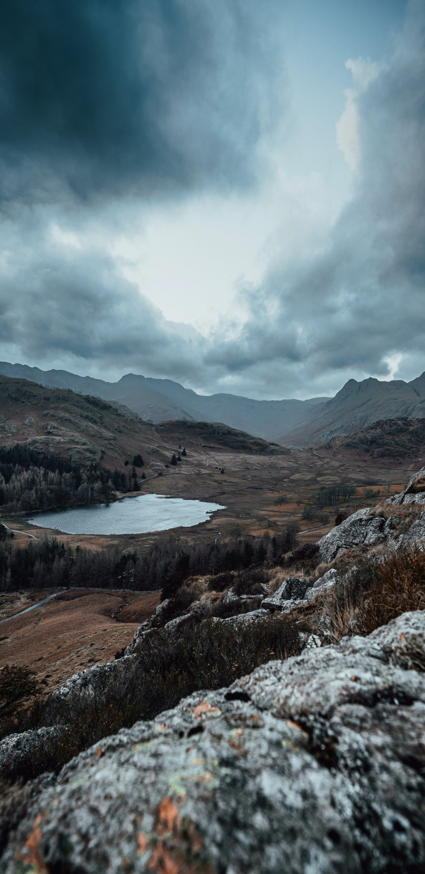 Highland, Lingmoor Cayó, Loughrigg Cayó, Montaña, Agua. Wallpaper in 1440x2960 Resolution
