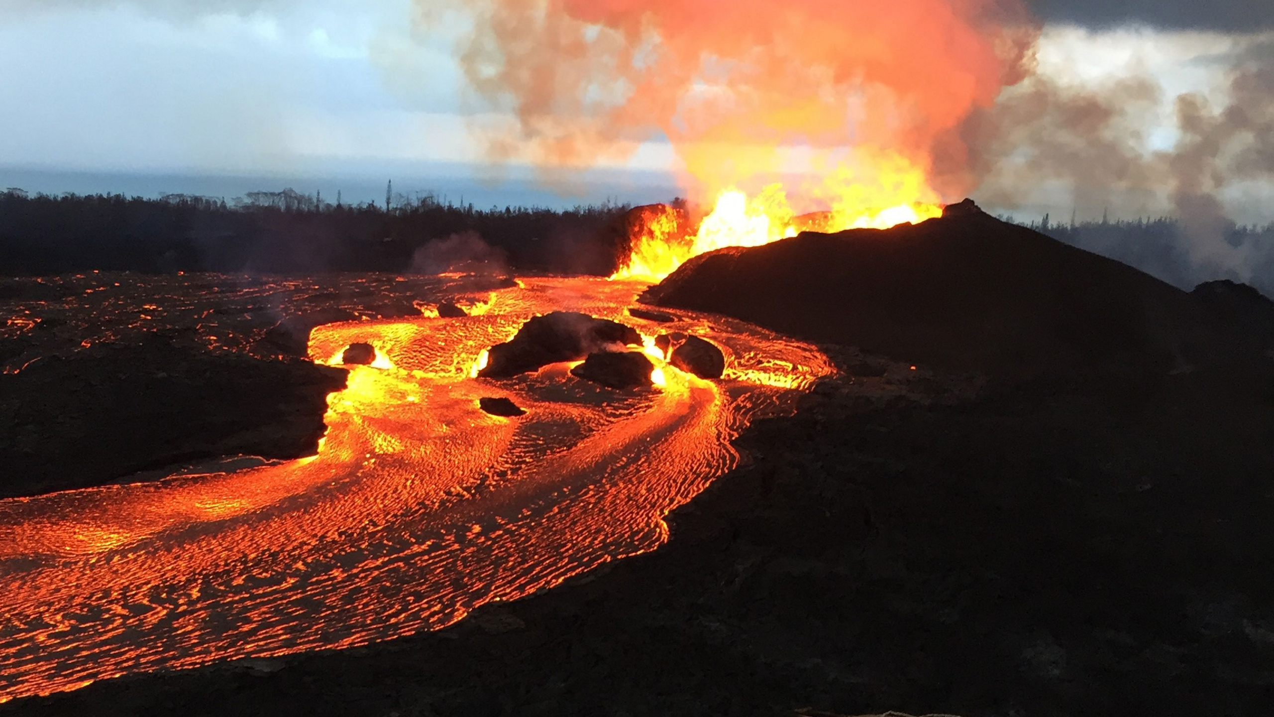 Brauner Sand Mit Bäumen Und Fluss Tagsüber. Wallpaper in 2560x1440 Resolution