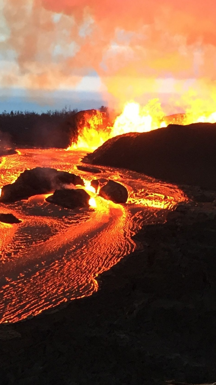 Brauner Sand Mit Bäumen Und Fluss Tagsüber. Wallpaper in 720x1280 Resolution