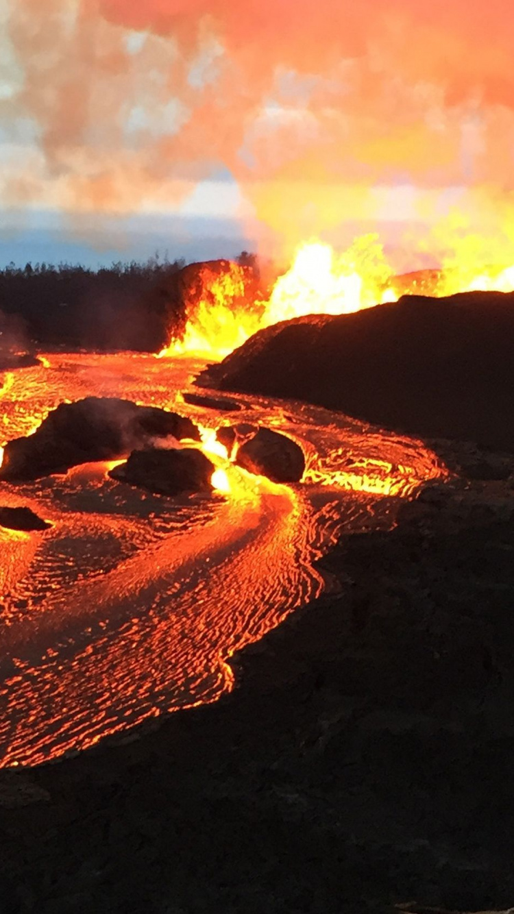 Brauner Sand Mit Bäumen Und Fluss Tagsüber. Wallpaper in 750x1334 Resolution