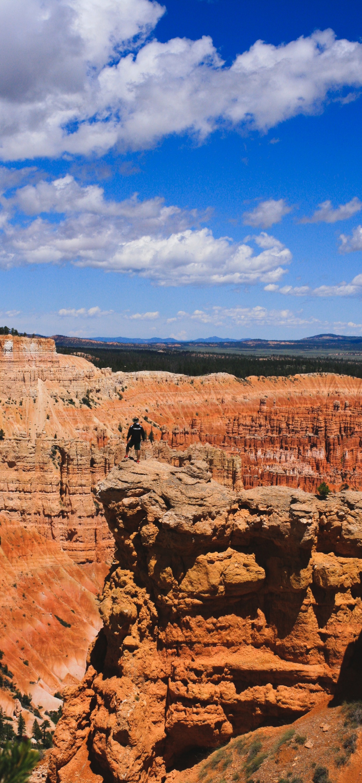 Brown Rock Formation Under Blue Sky During Daytime. Wallpaper in 1242x2688 Resolution