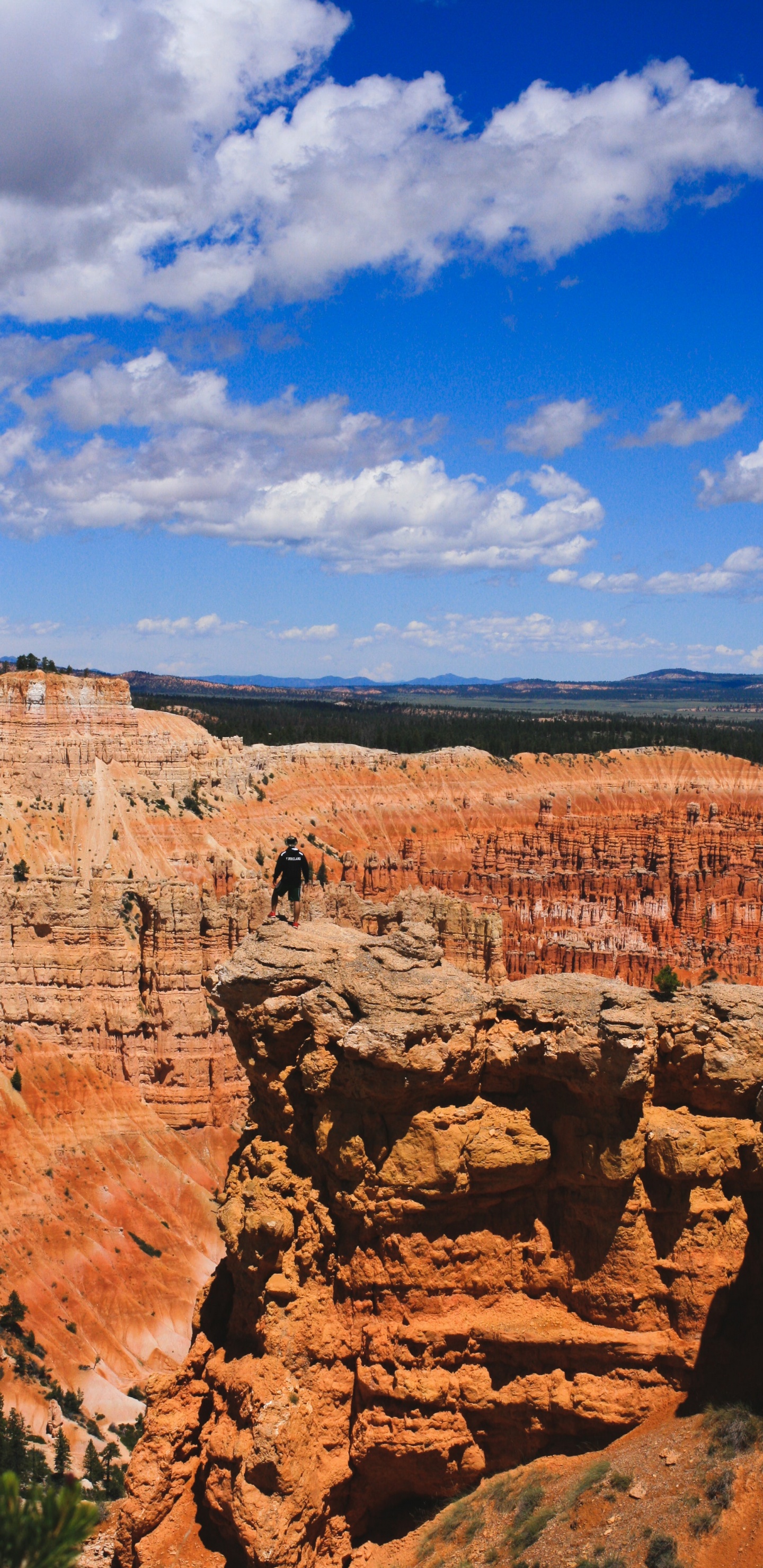 Brown Rock Formation Under Blue Sky During Daytime. Wallpaper in 1440x2960 Resolution