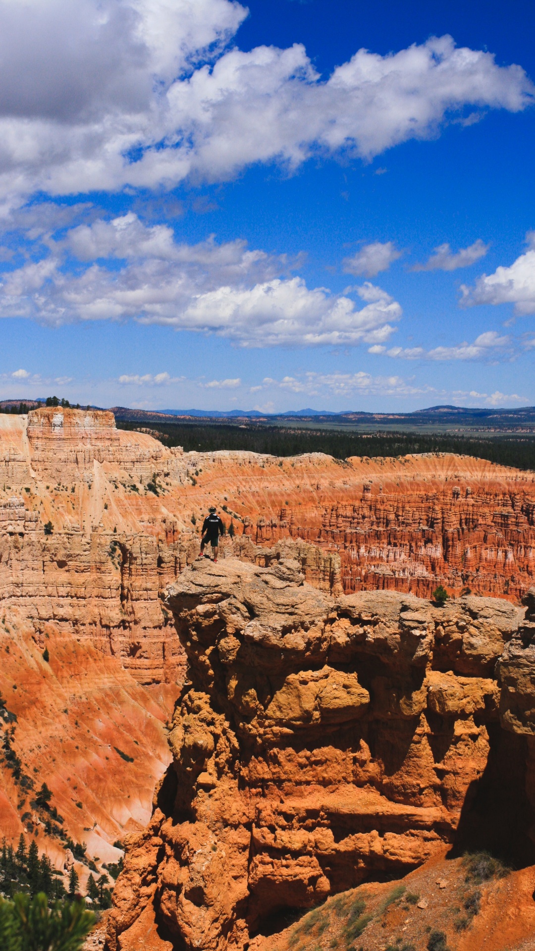 荒地, 形成, 峡谷, 地质学, 天空 壁纸 1080x1920 允许
