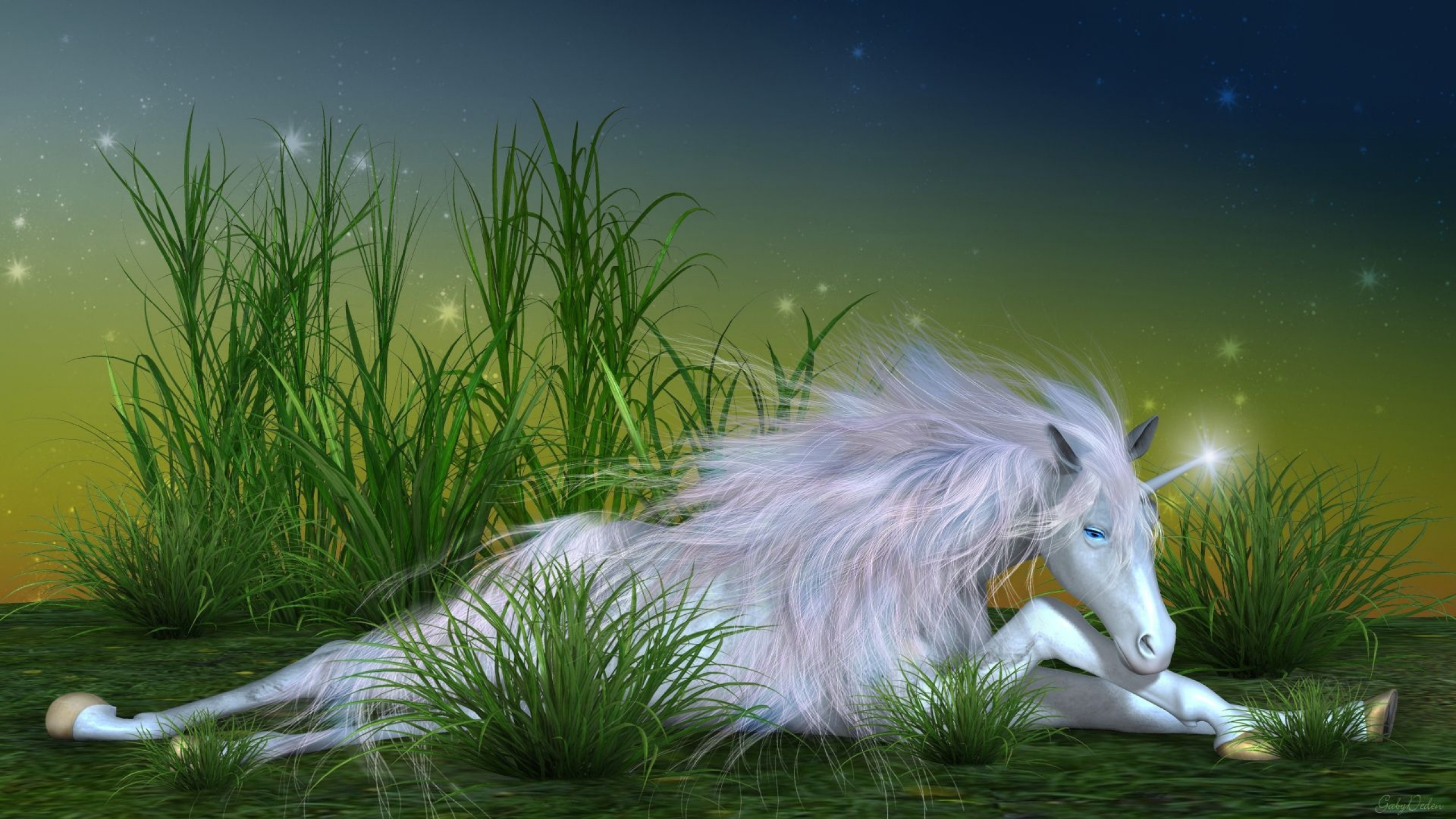 Weißes Langhaariges Tier Auf Grünem Gras. Wallpaper in 2560x1440 Resolution