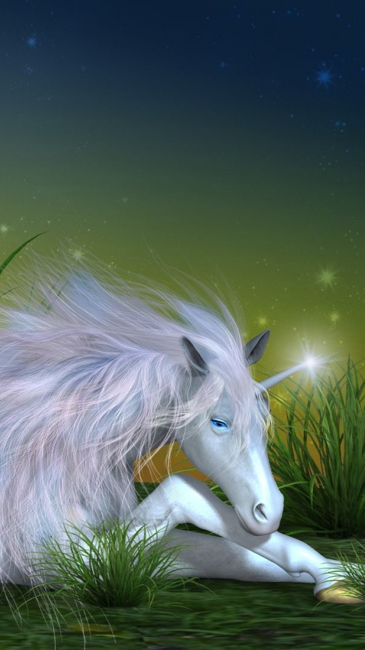 Weißes Langhaariges Tier Auf Grünem Gras. Wallpaper in 720x1280 Resolution