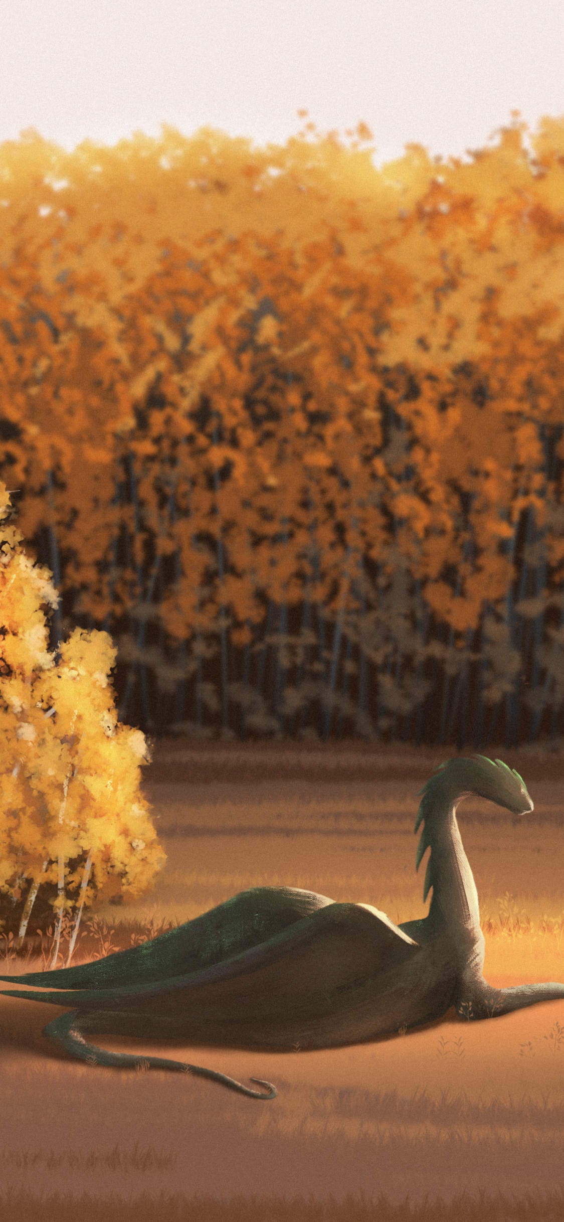 早上, 艺术, 很好的, 木, 自然景观 壁纸 1125x2436 允许