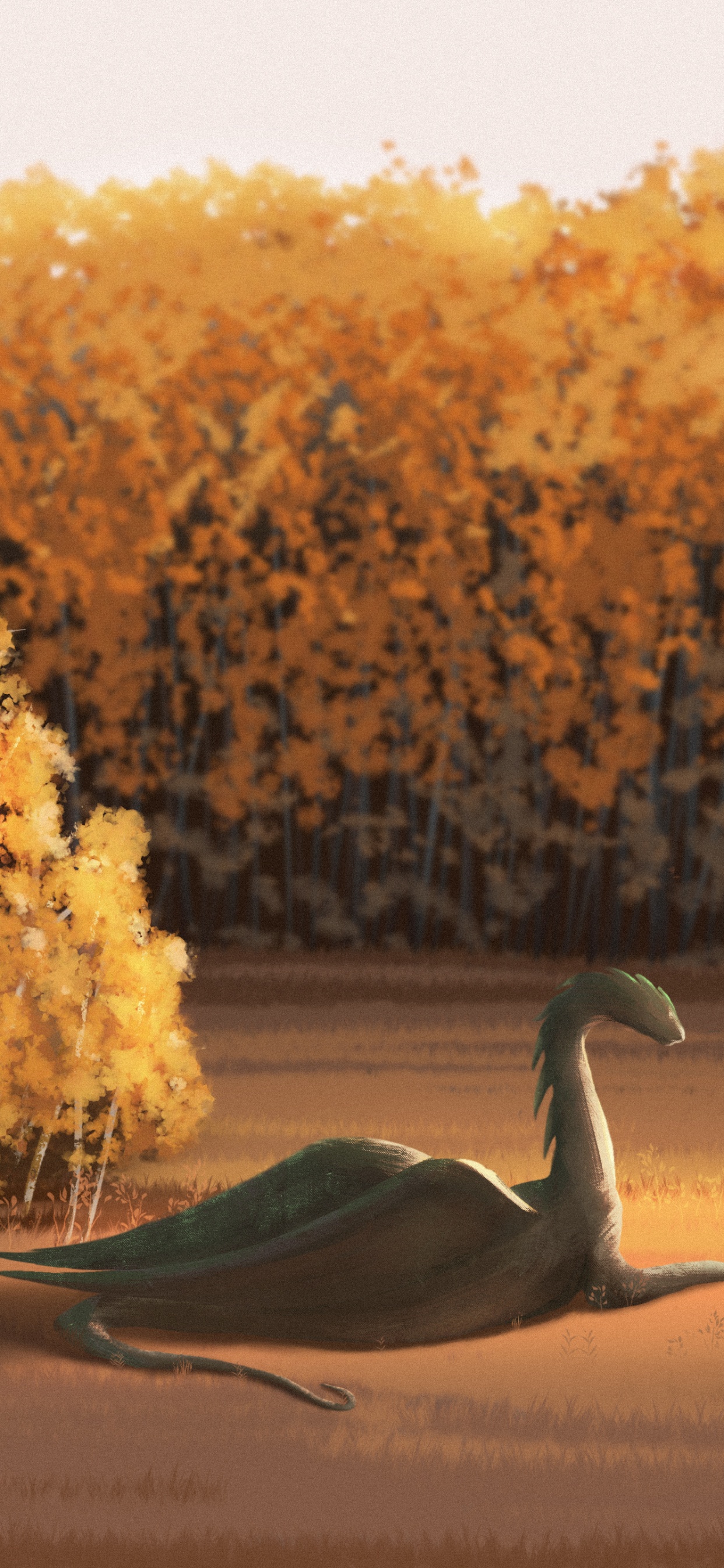 早上, 艺术, 很好的, 木, 自然景观 壁纸 1242x2688 允许