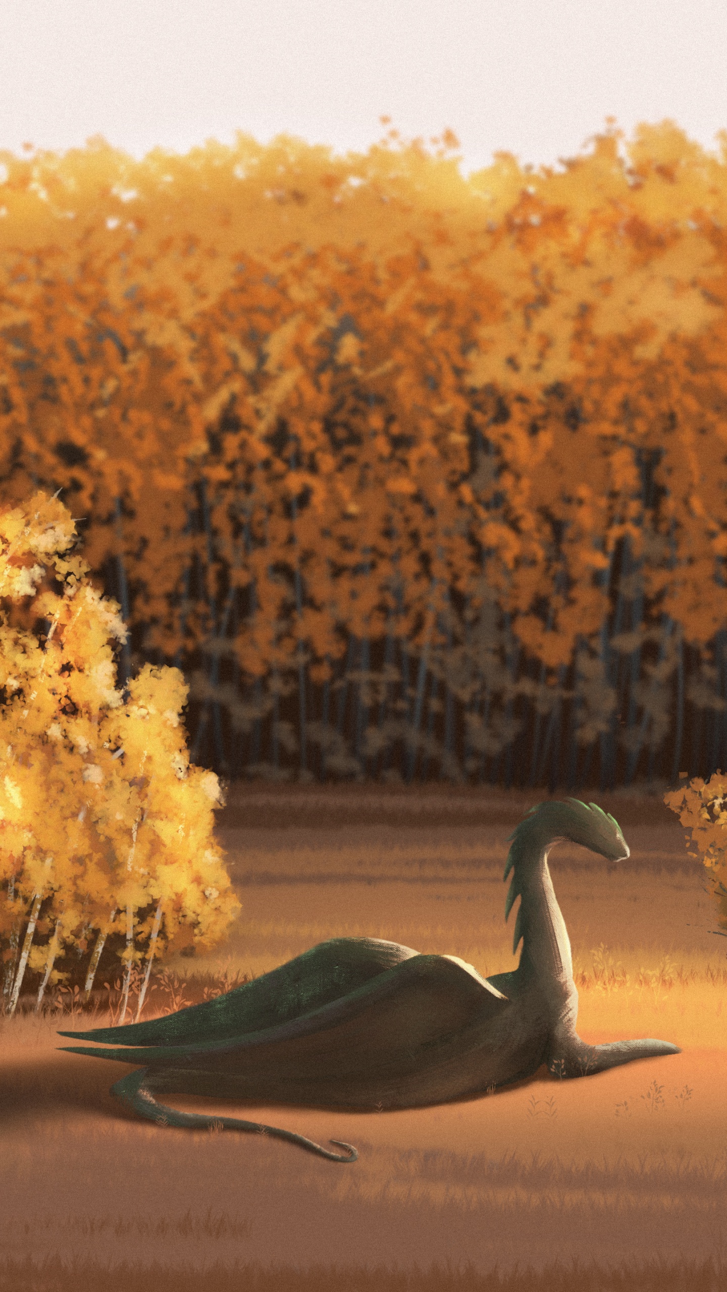 早上, 艺术, 很好的, 木, 自然景观 壁纸 1440x2560 允许