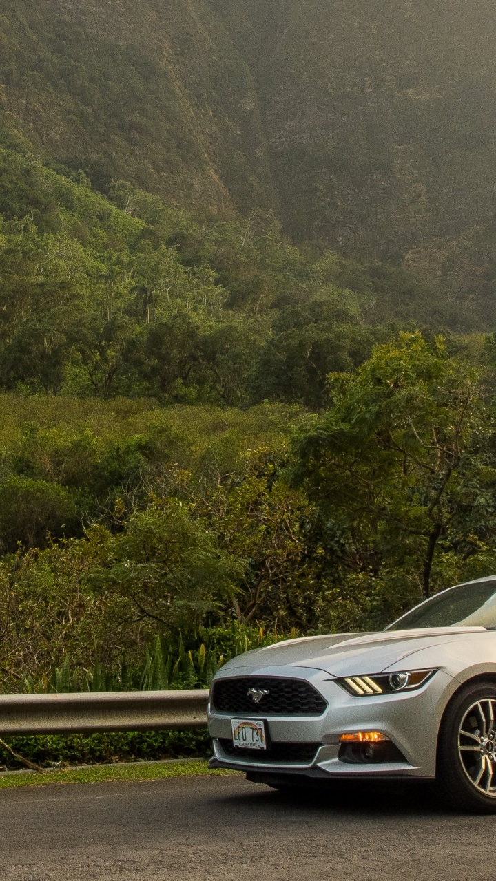 Black Bmw m 3 Coupe on Road During Daytime. Wallpaper in 720x1280 Resolution