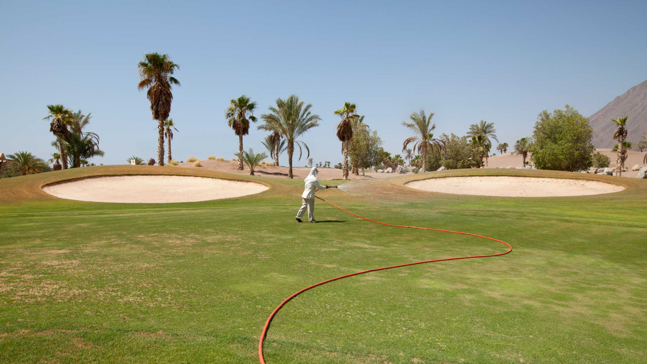 Mann in Weißem Hemd Und Hose, Der Tagsüber Auf Der Grünen Wiese Steht. Wallpaper in 1280x720 Resolution